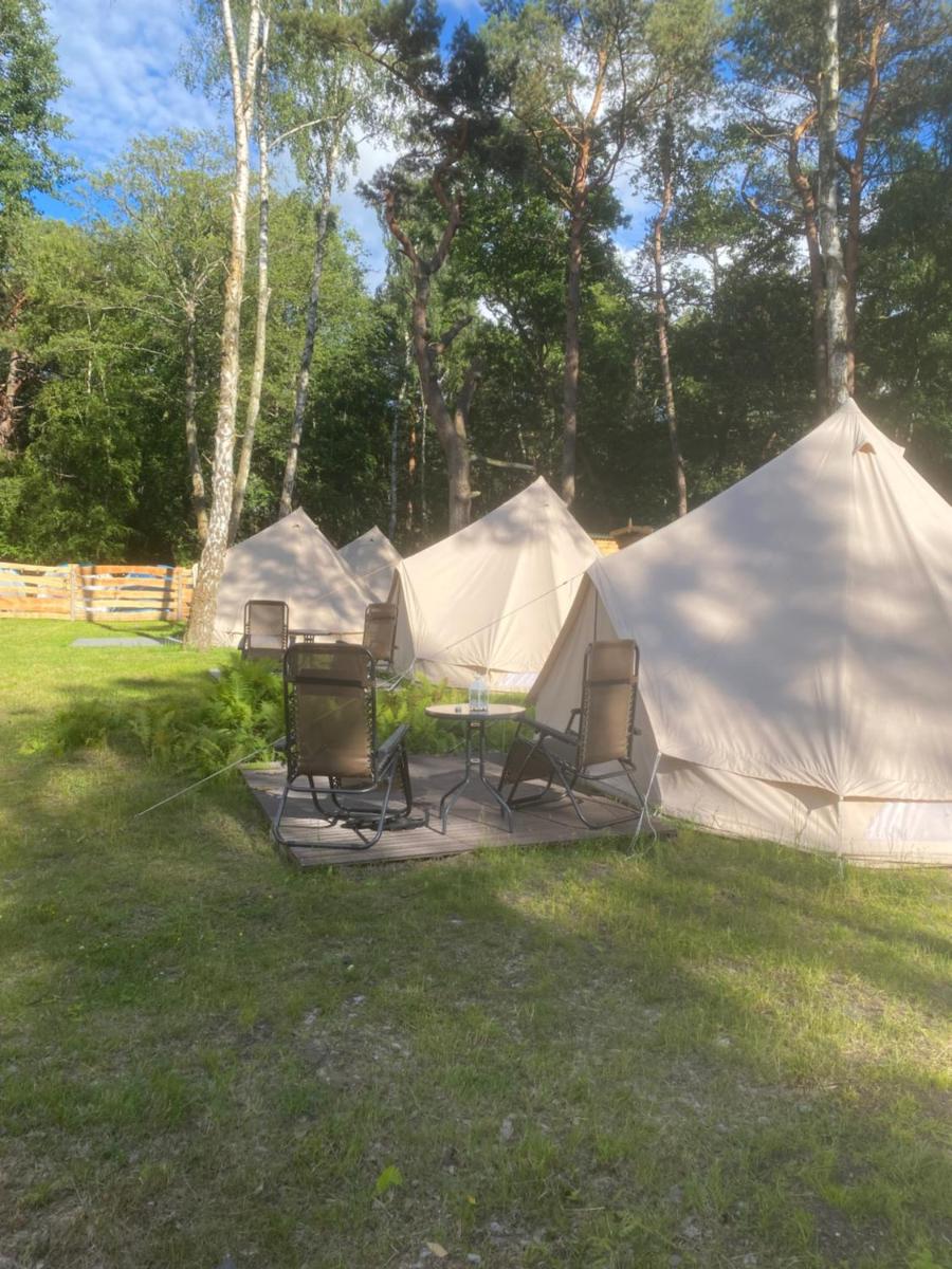 Sielski Hel view 4