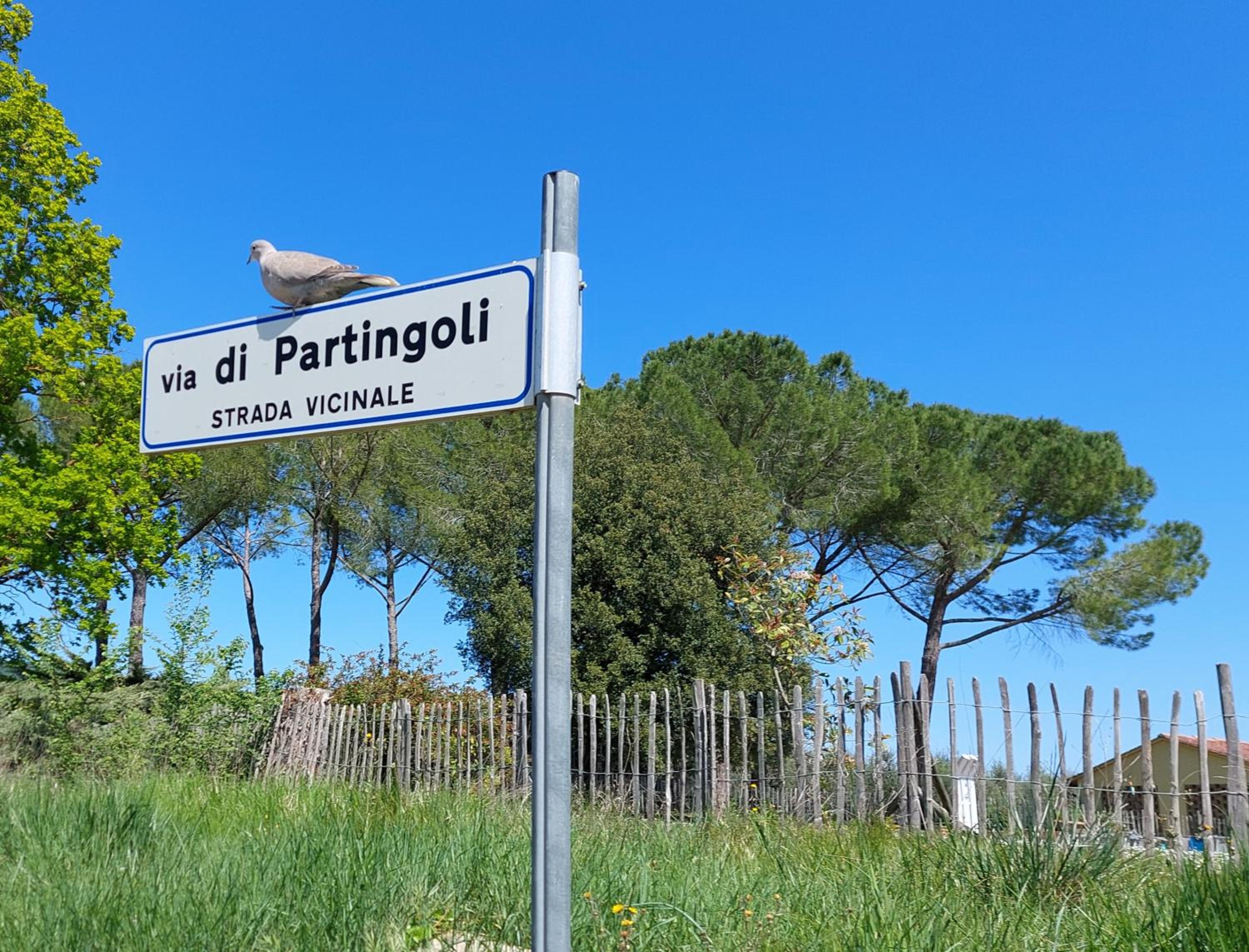 CASA PARTINGOLI