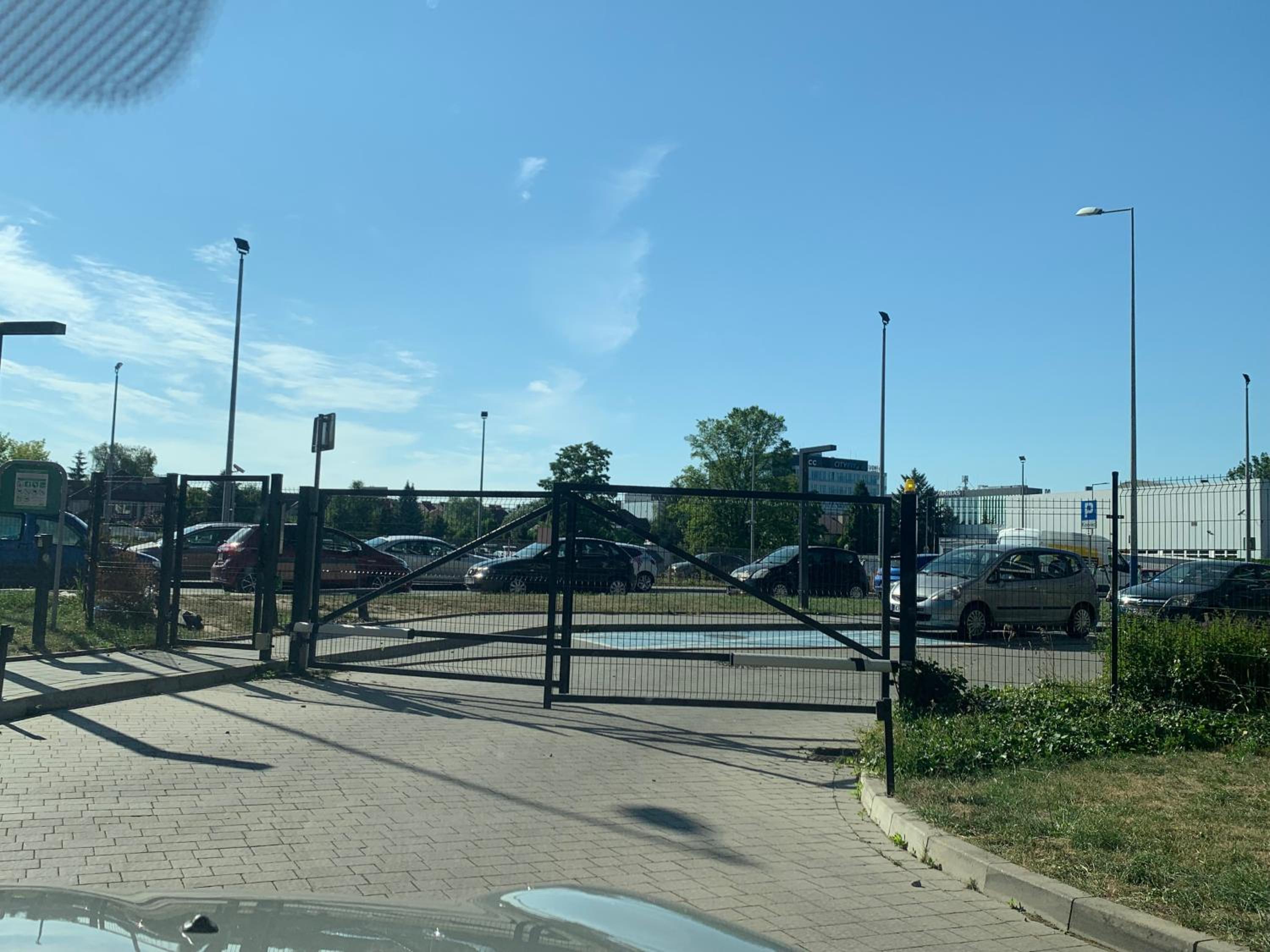 Photo 19
