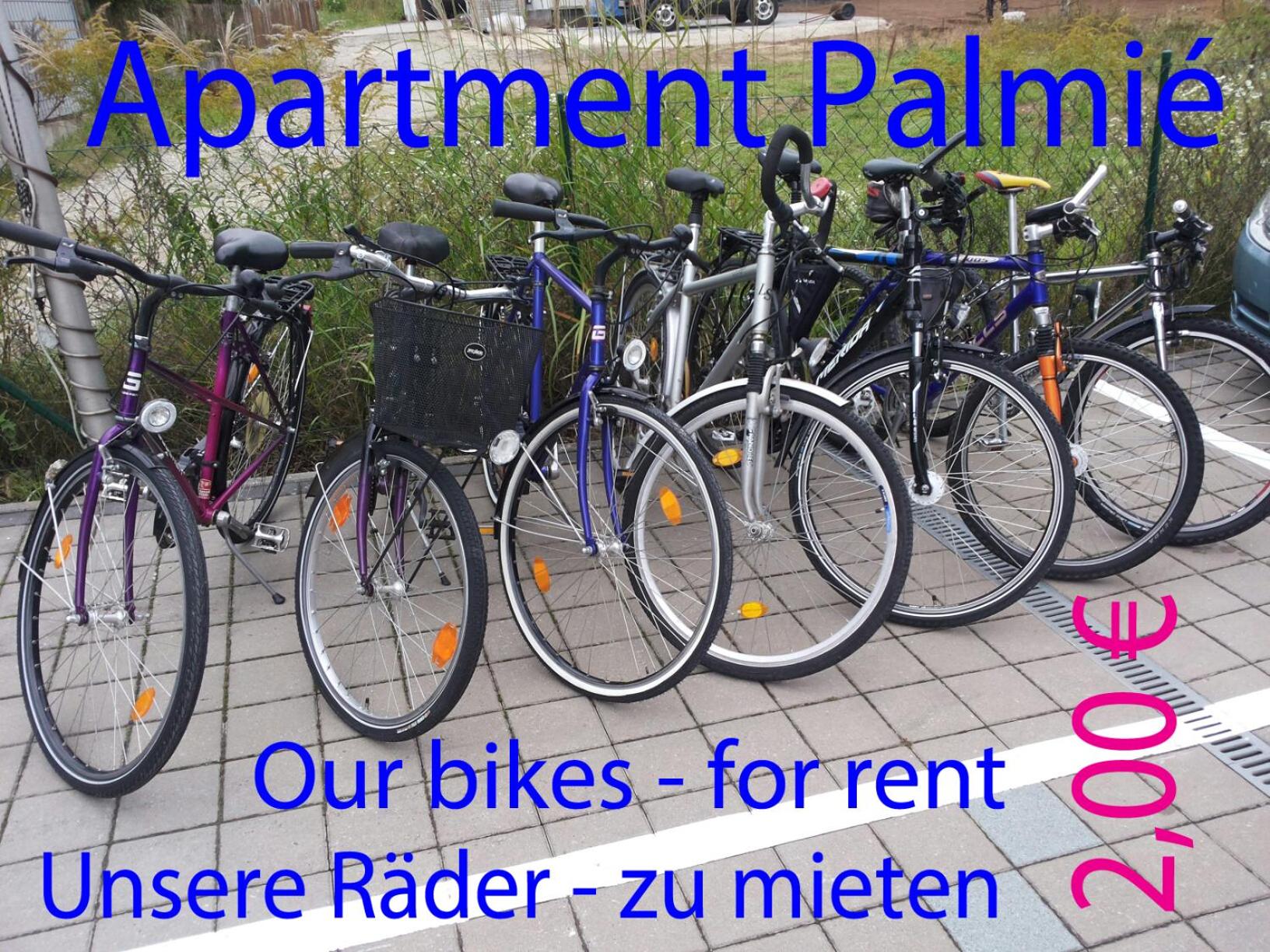 Apartment Palmie - Property Image 37