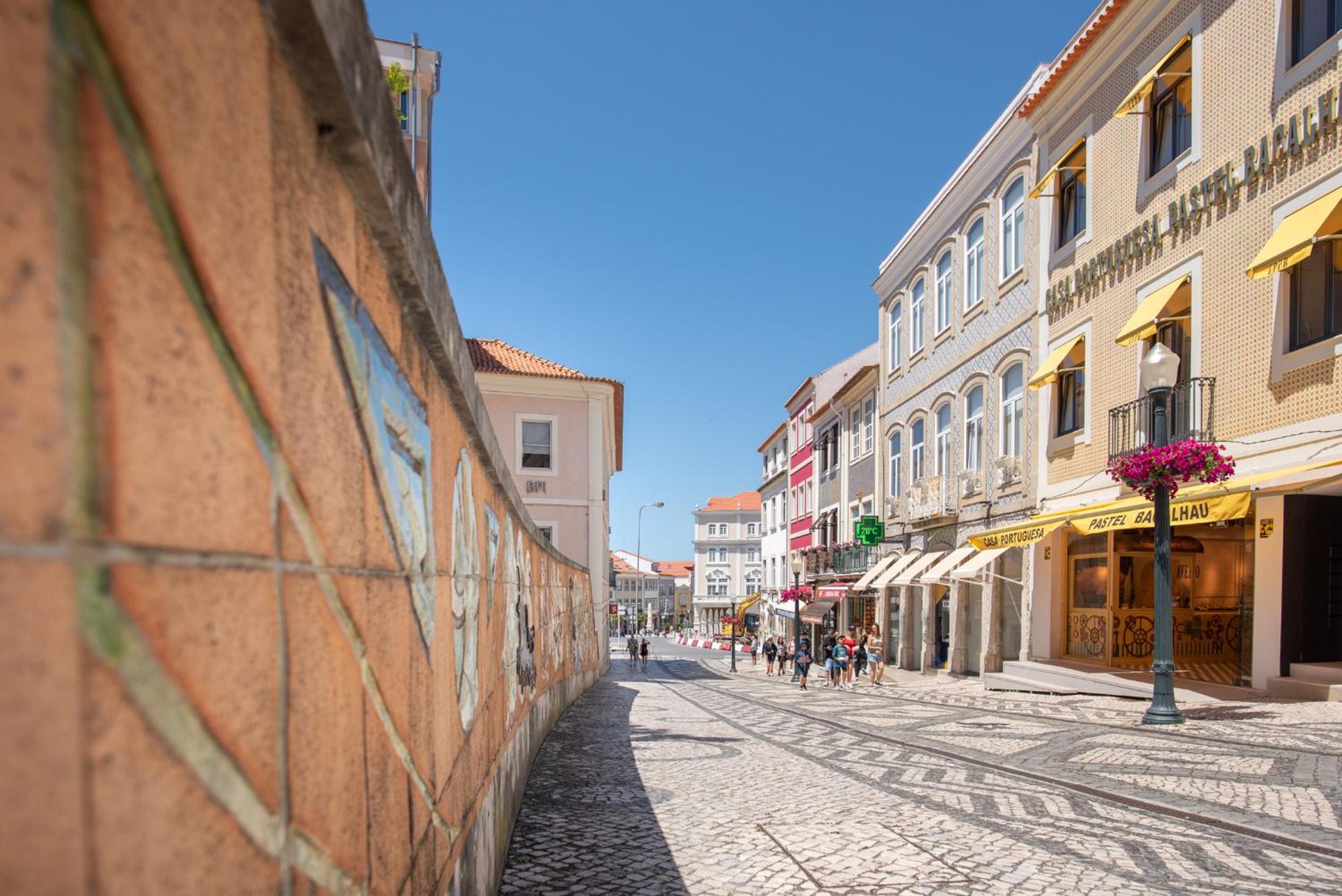 Aveiro CityVenice view 5