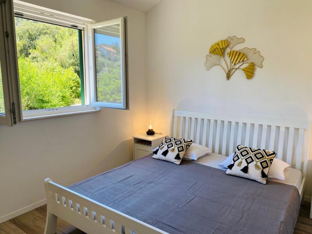 Casa Mediteran