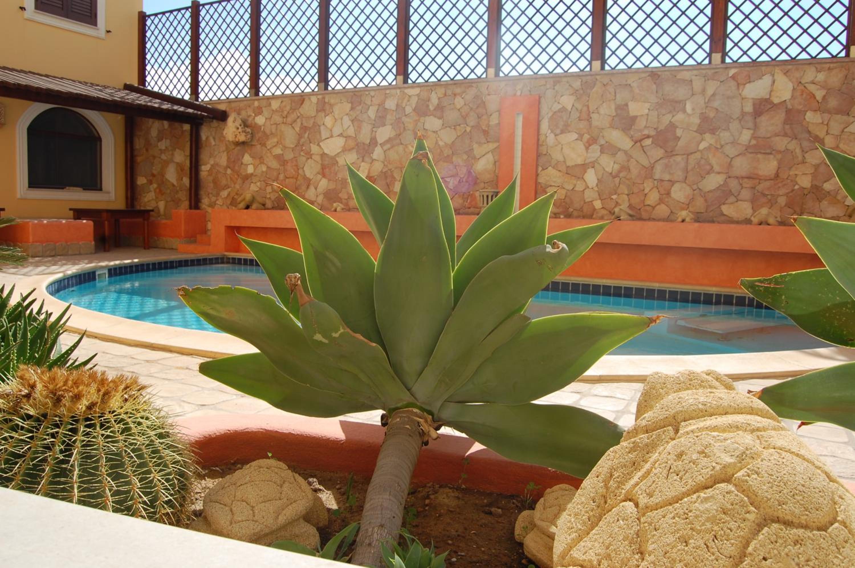 El Mosaico Del Sol photo 5