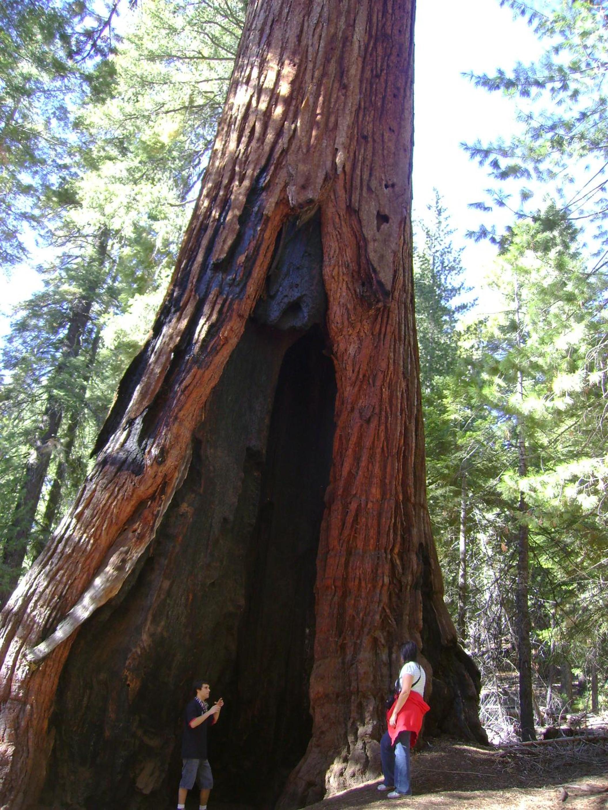 Photo 48