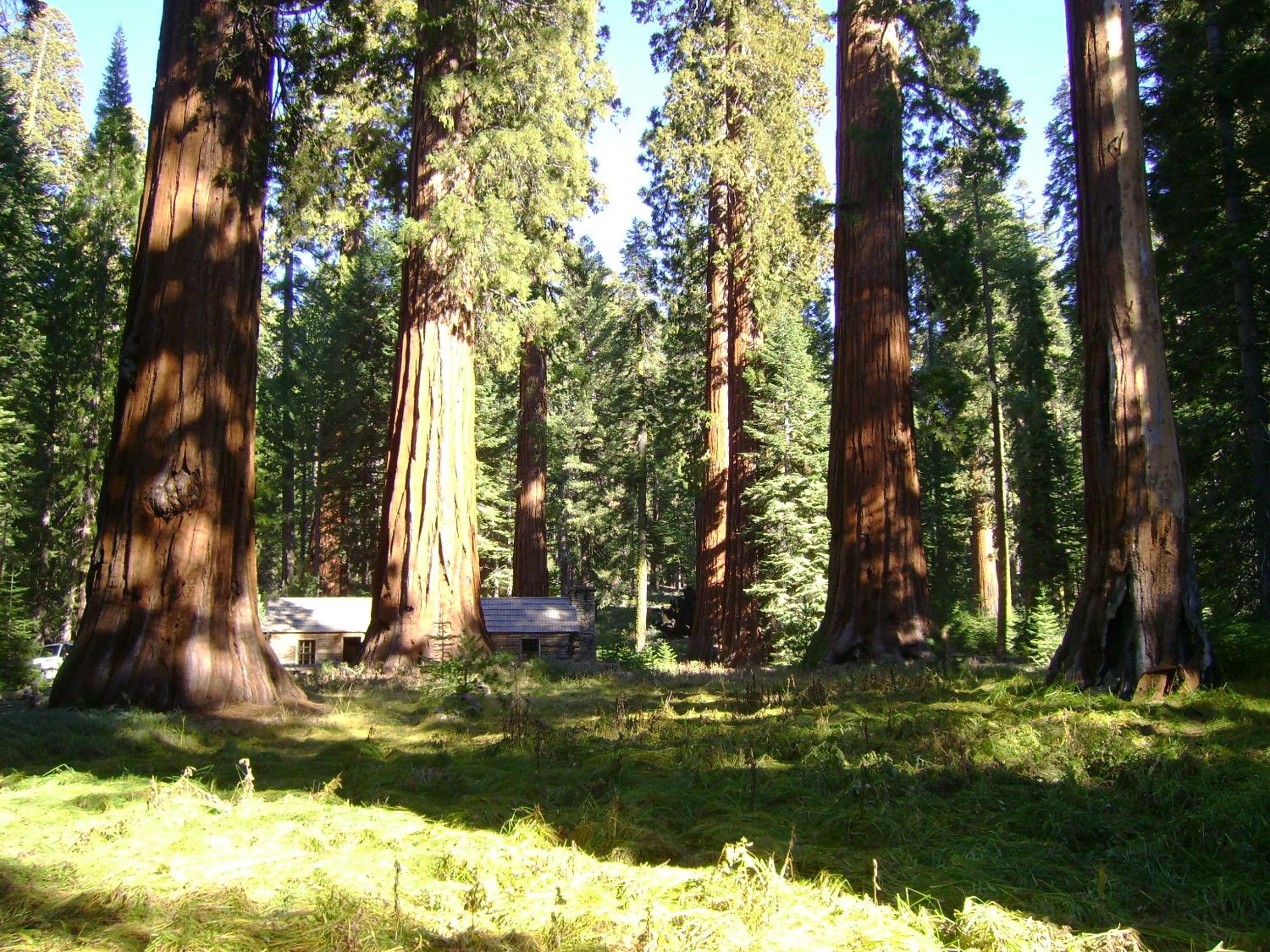 Photo 45