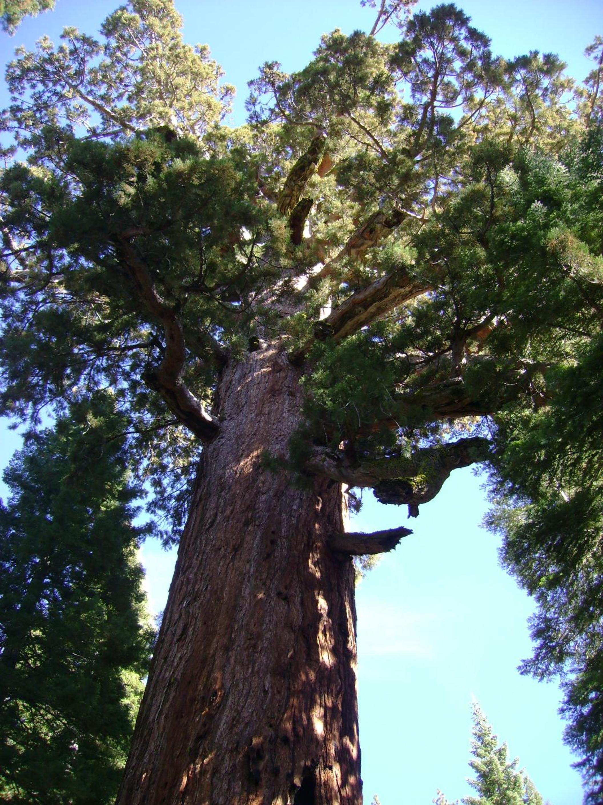 Photo 47