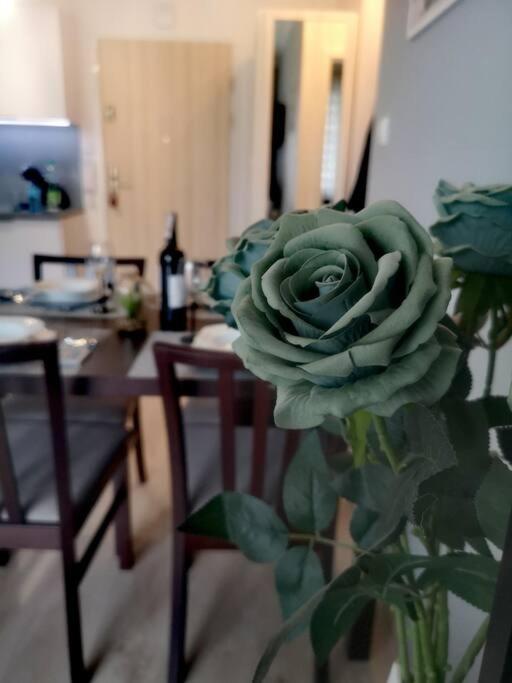 Apartament Turkusowy nad Morzem Kołobrzeg Podczele view 3