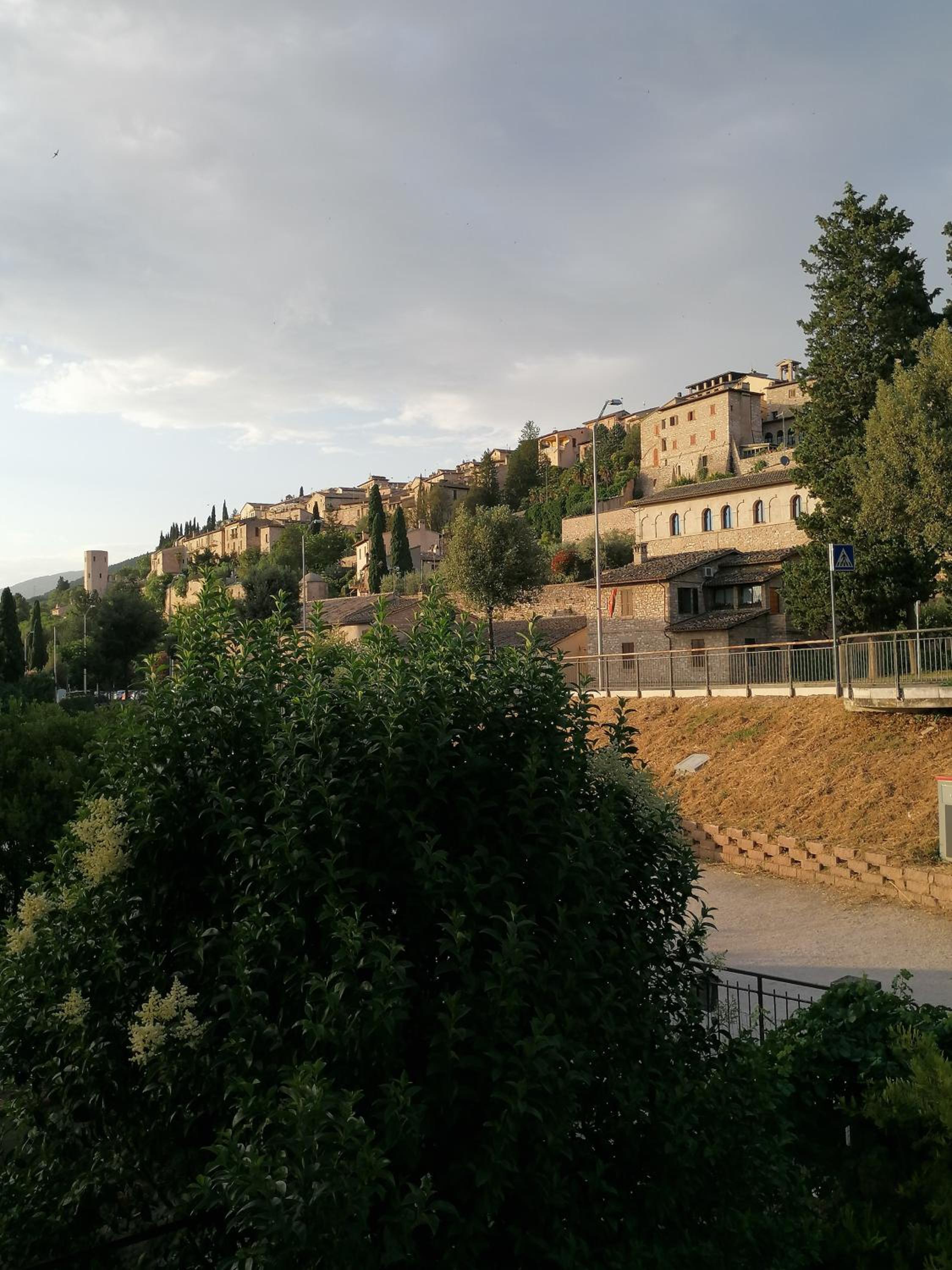 Photo 51