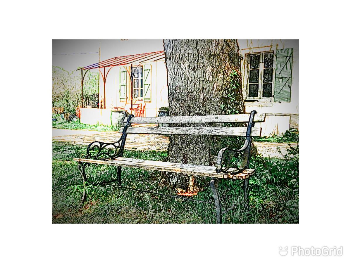 Photo 45