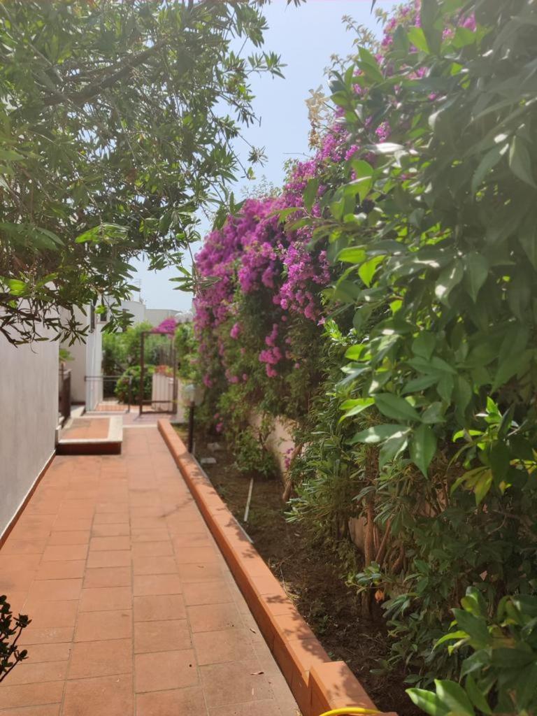 Casa Angelina view 3