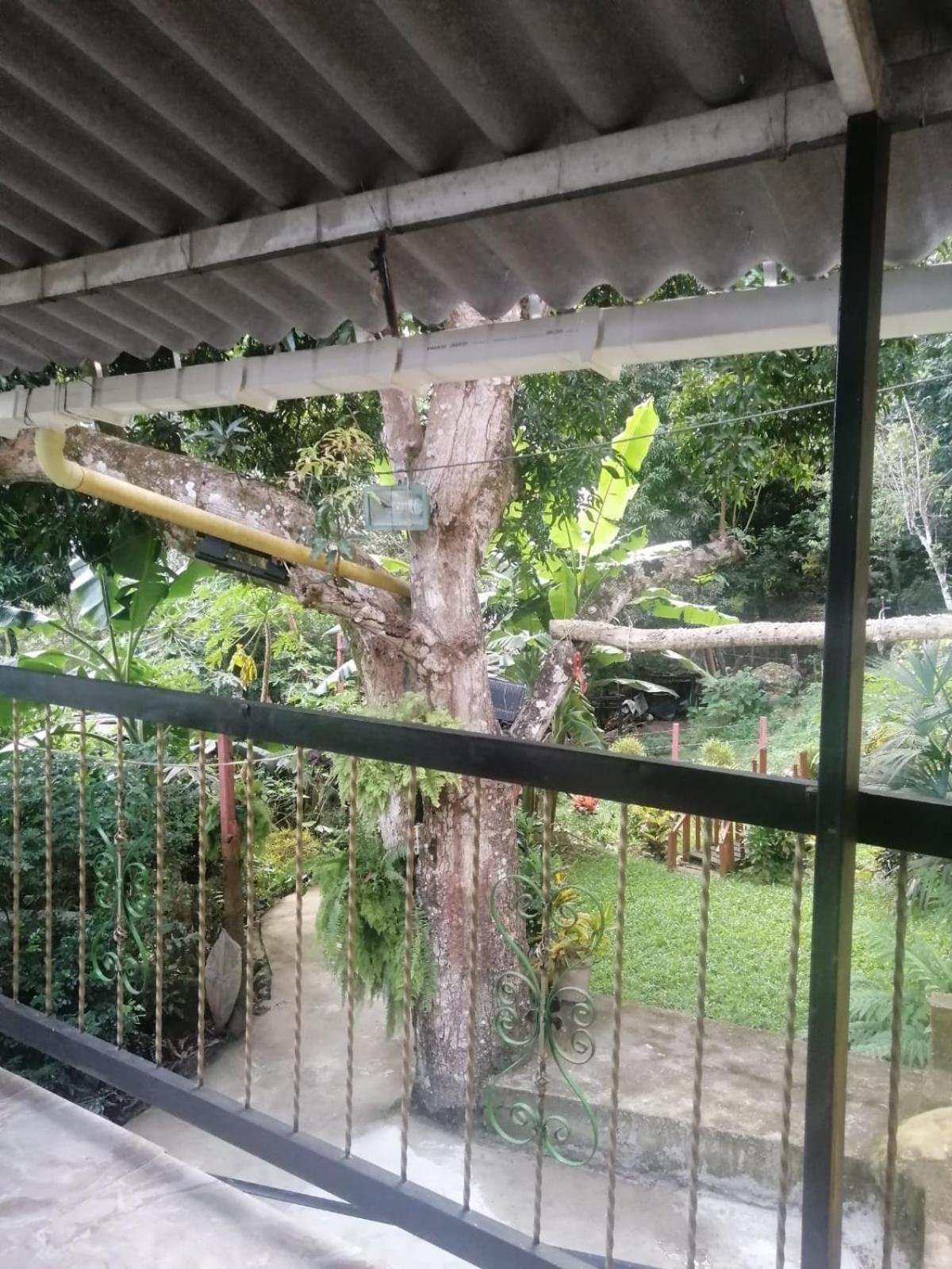 Finca Peñitas