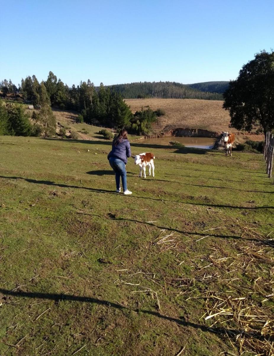 Cabaña Rústica en Pichilemu