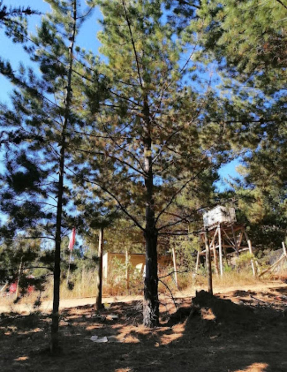 Cabaña Rústica en Pichilemu