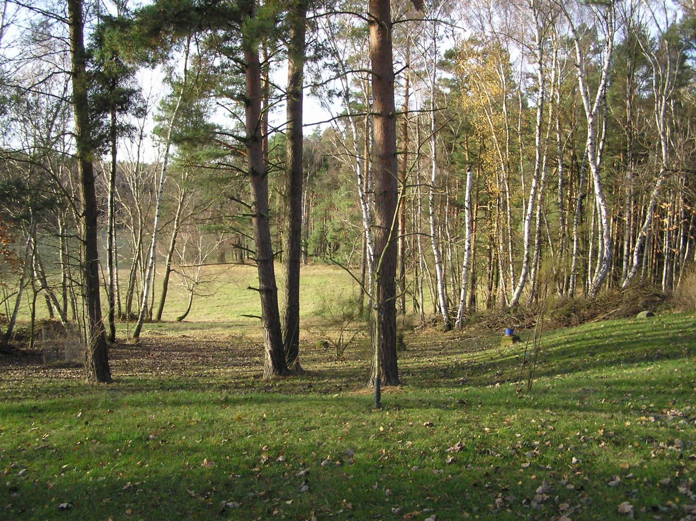 Senfmühle Lubast
