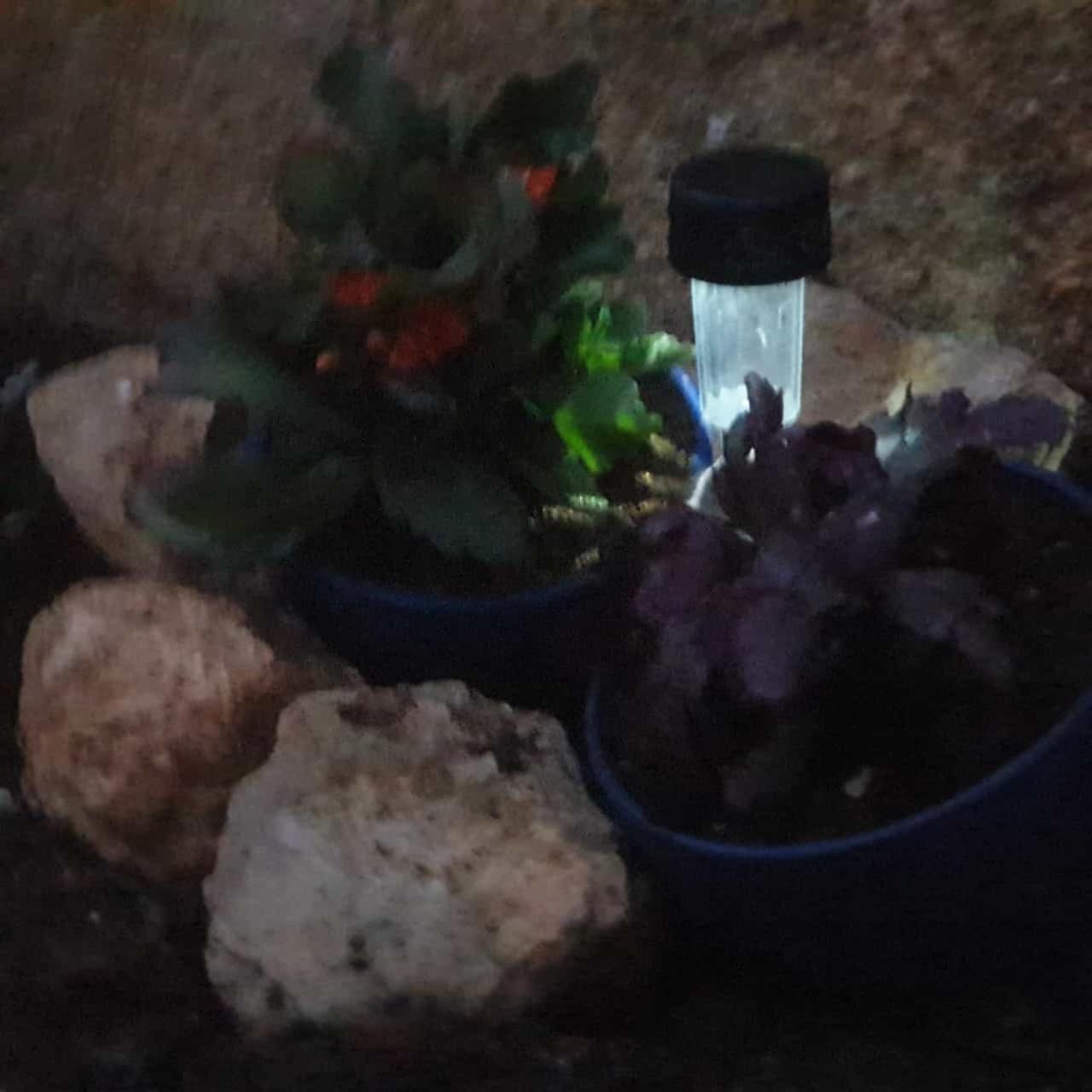 other