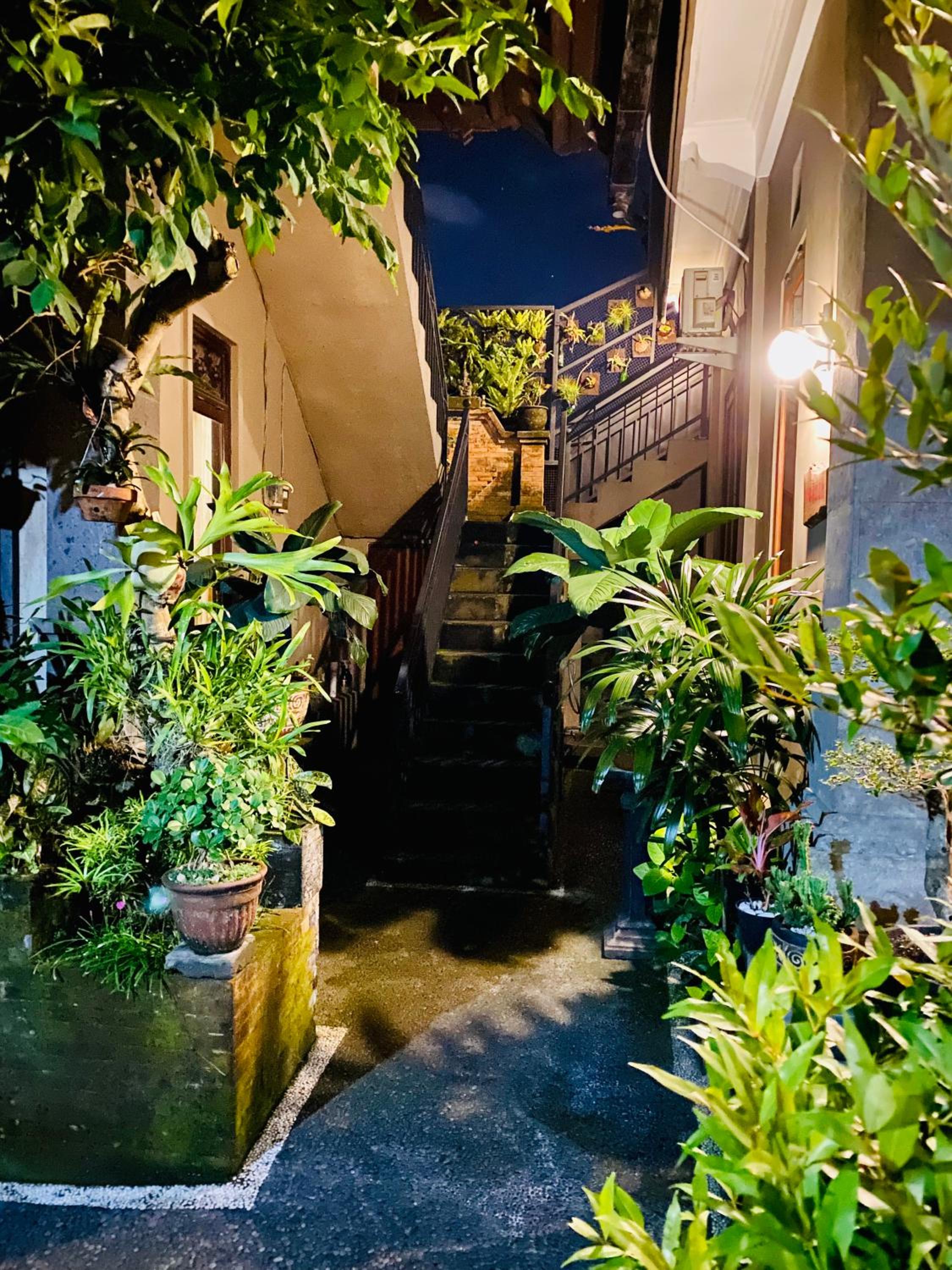 Wina Ubud B&B