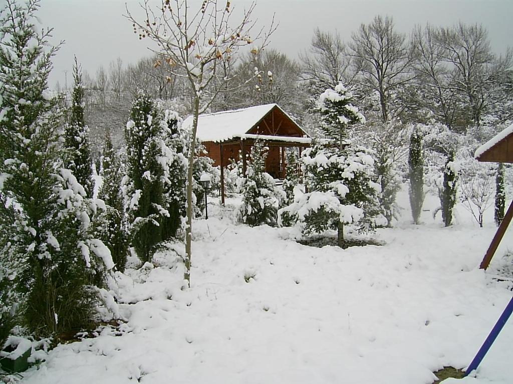 Photo 32