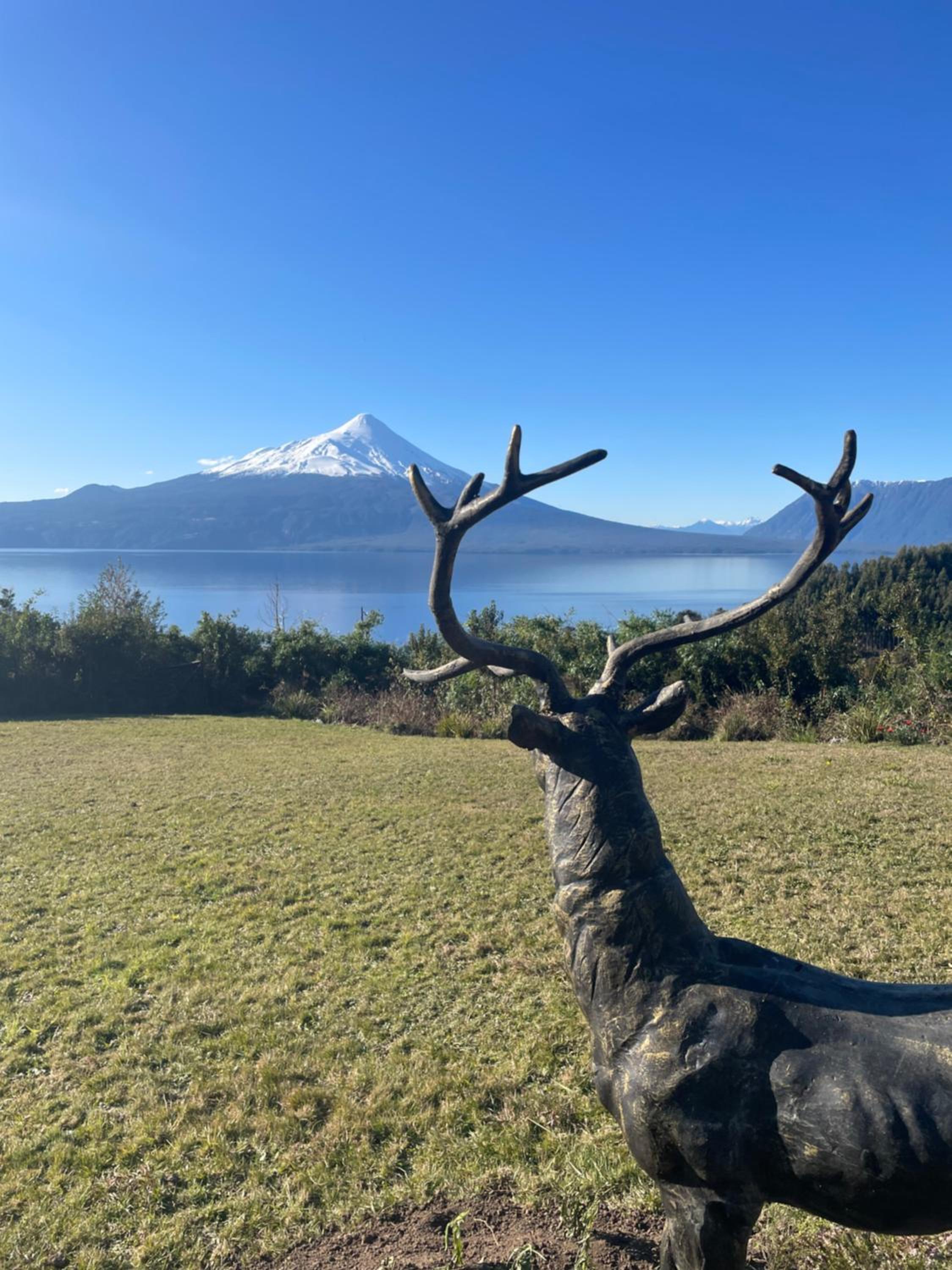 Casa EL CIERVO, Los Riscos, Puerto Varas