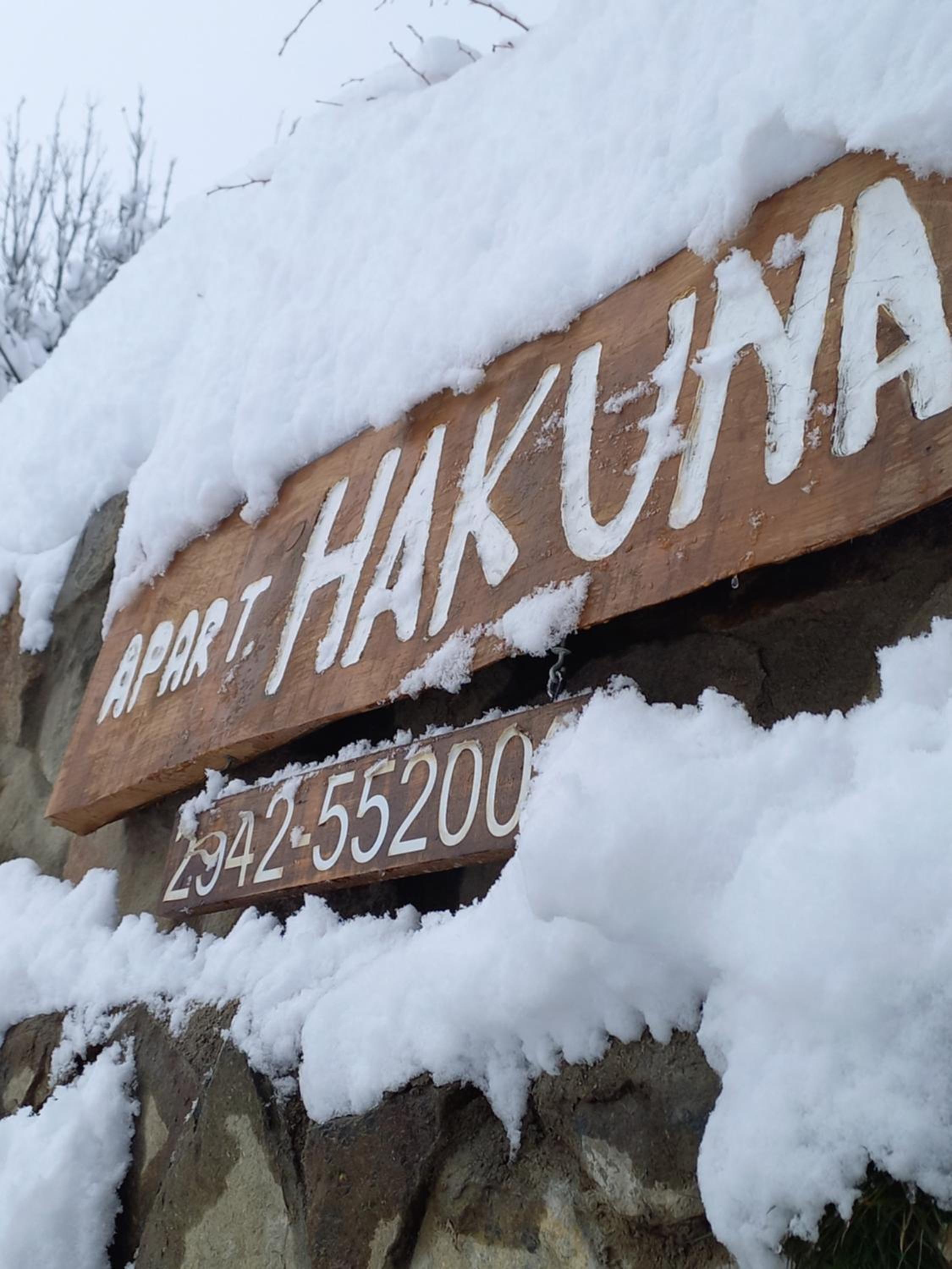 Apart HAKUNA PEHUENIA