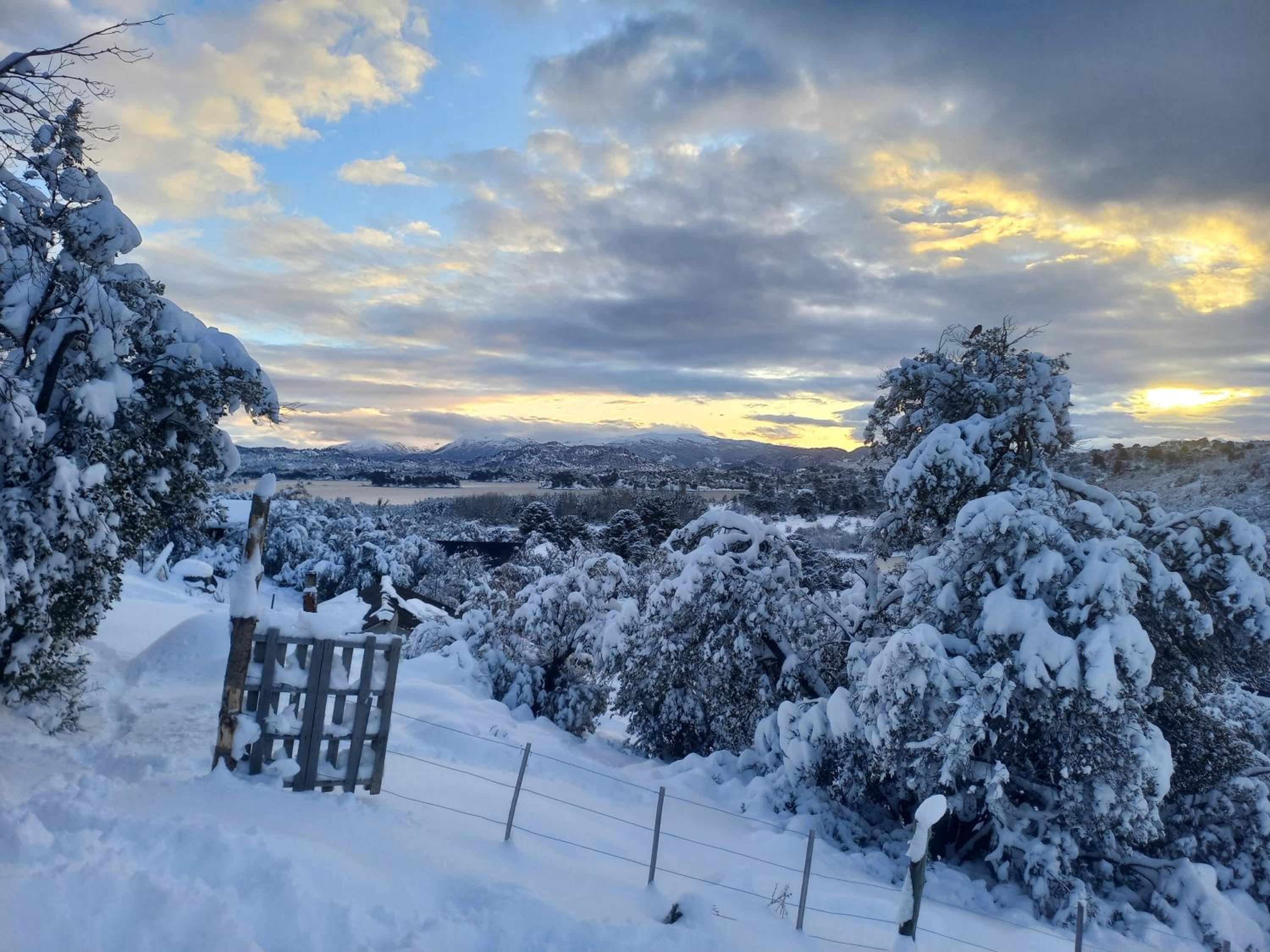 Apart HAKUNA PEHUENIA
