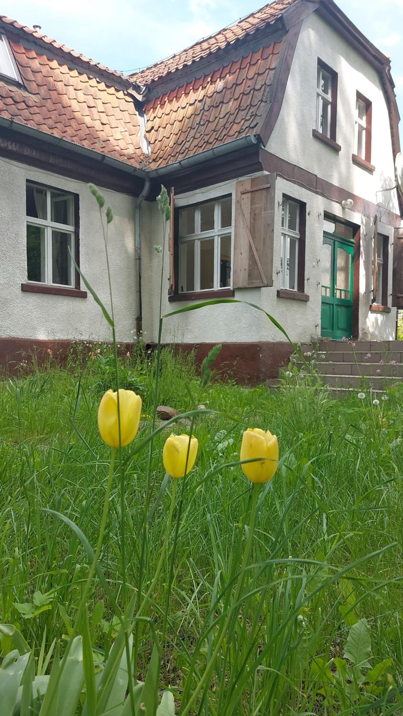 Photo 29