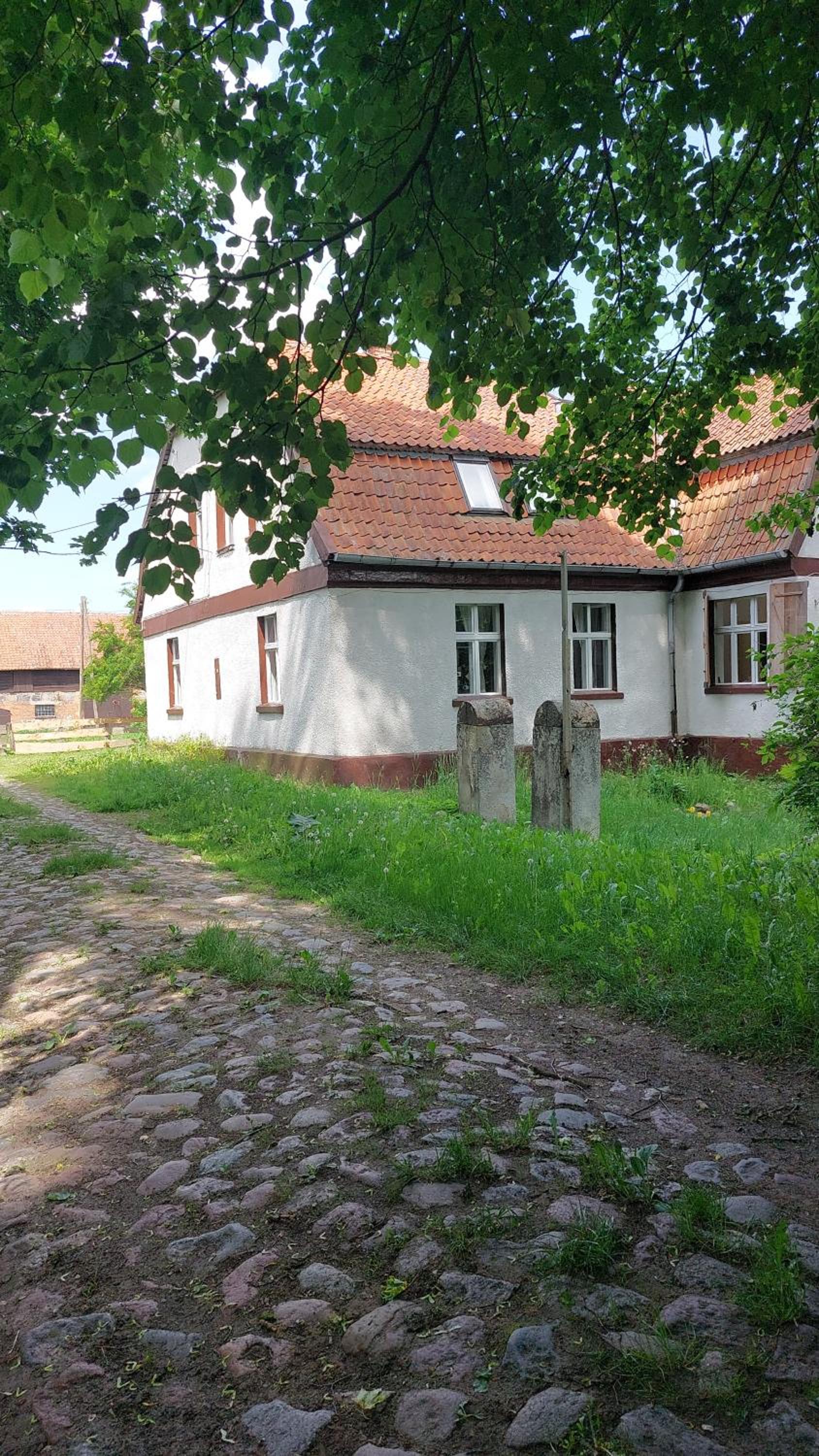 Photo 28