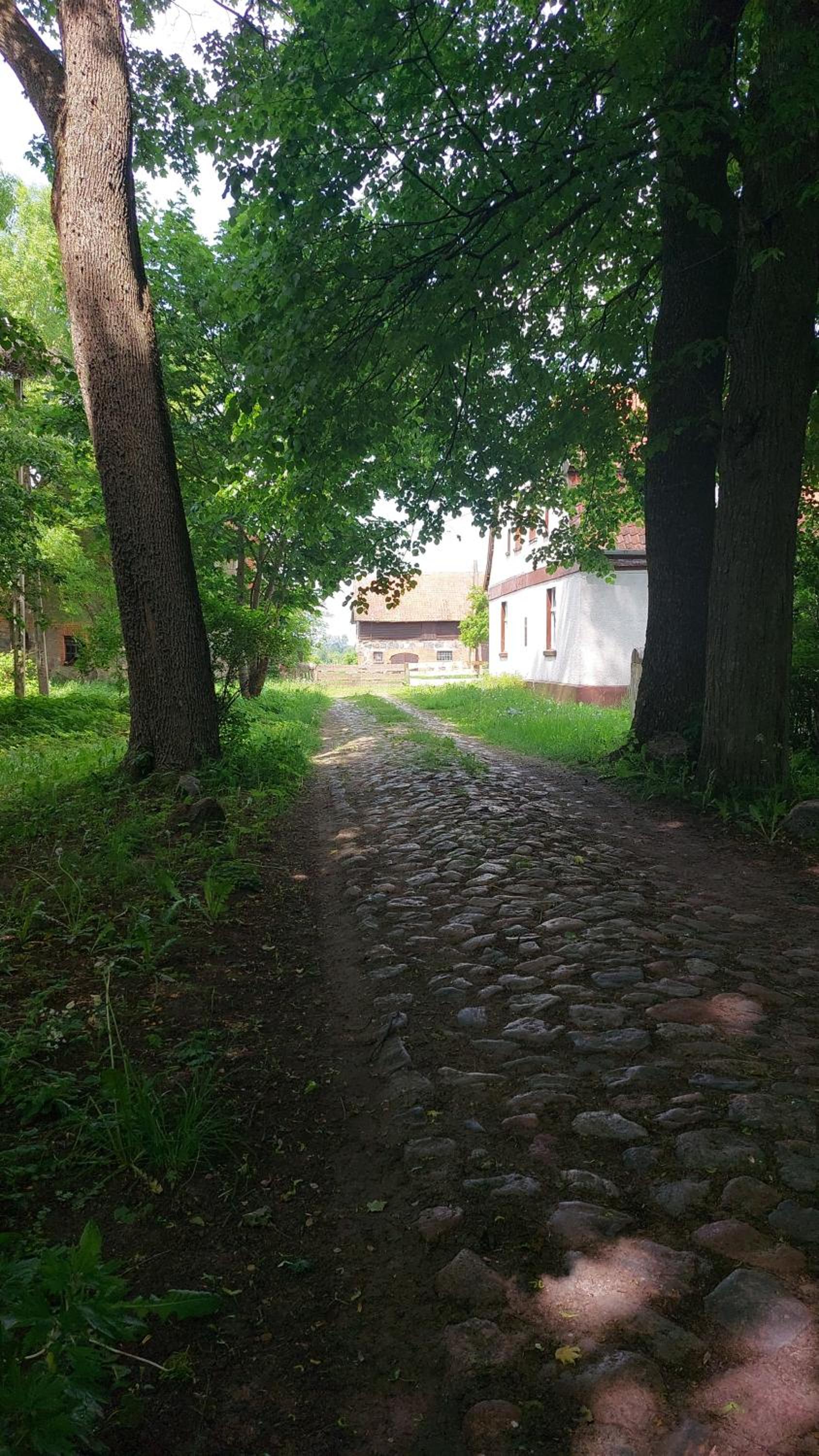Photo 27