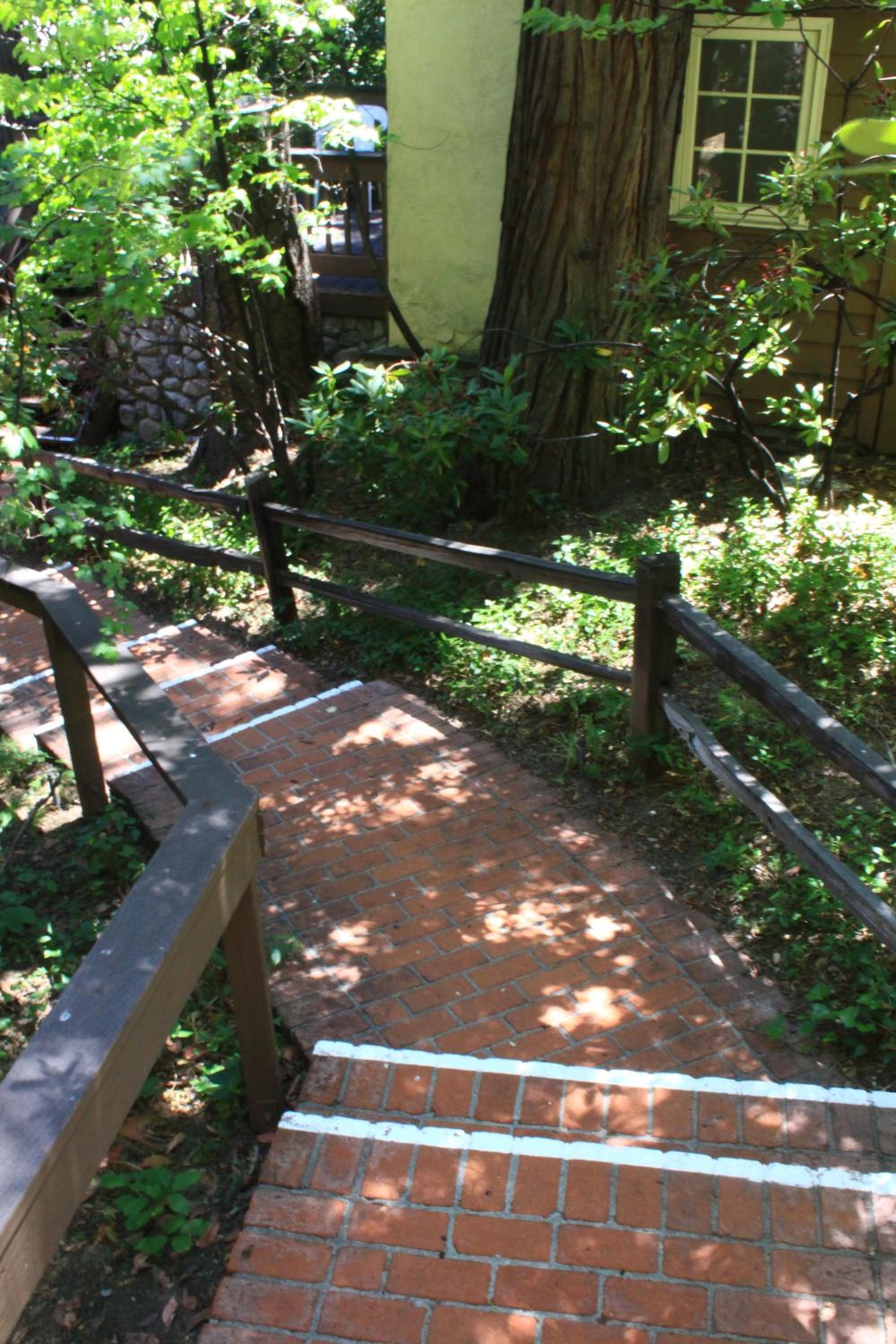 Photo 41