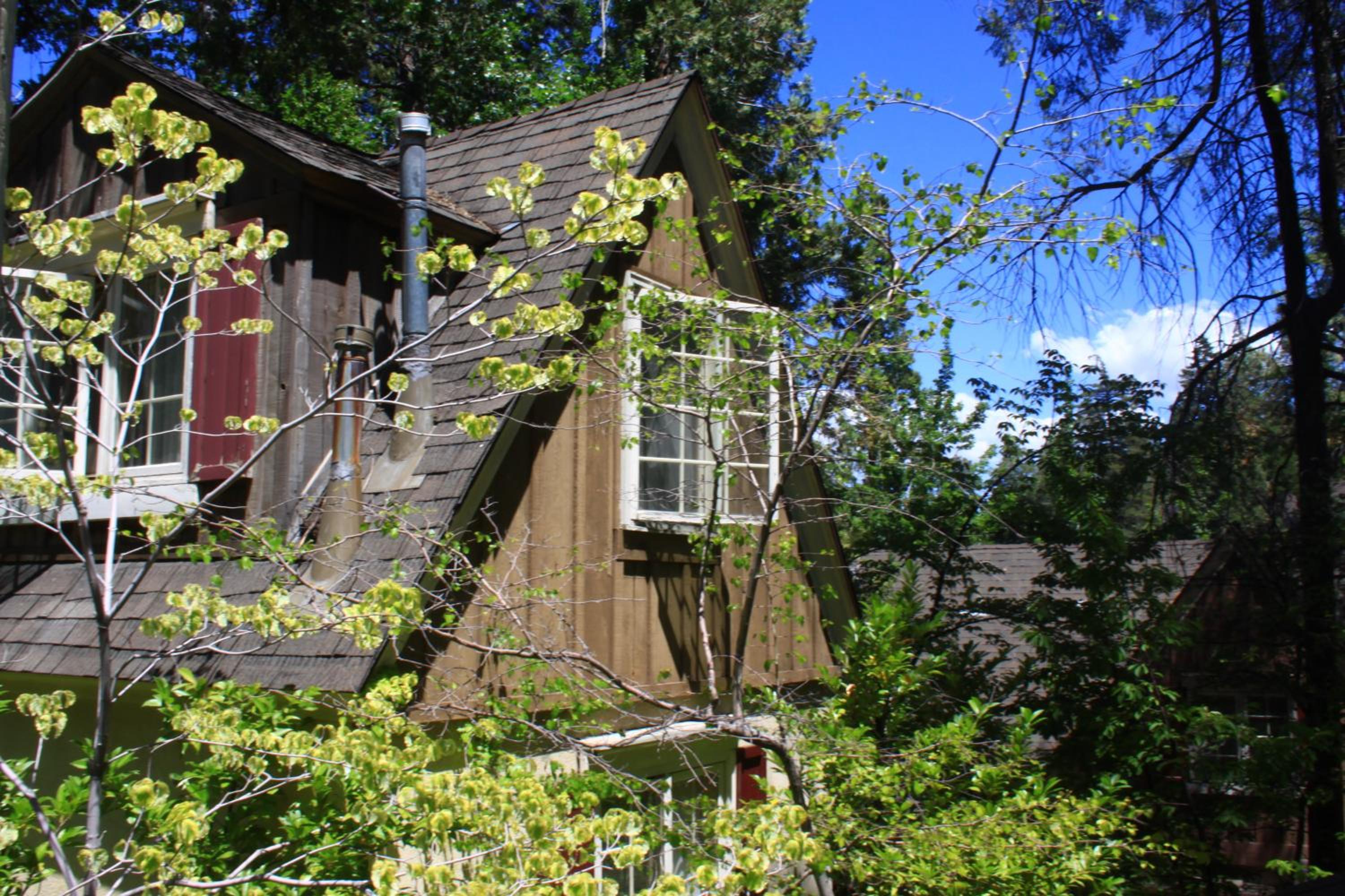 Photo 42