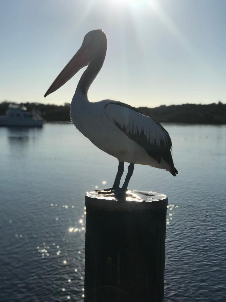 Patch of Paradise Iluka