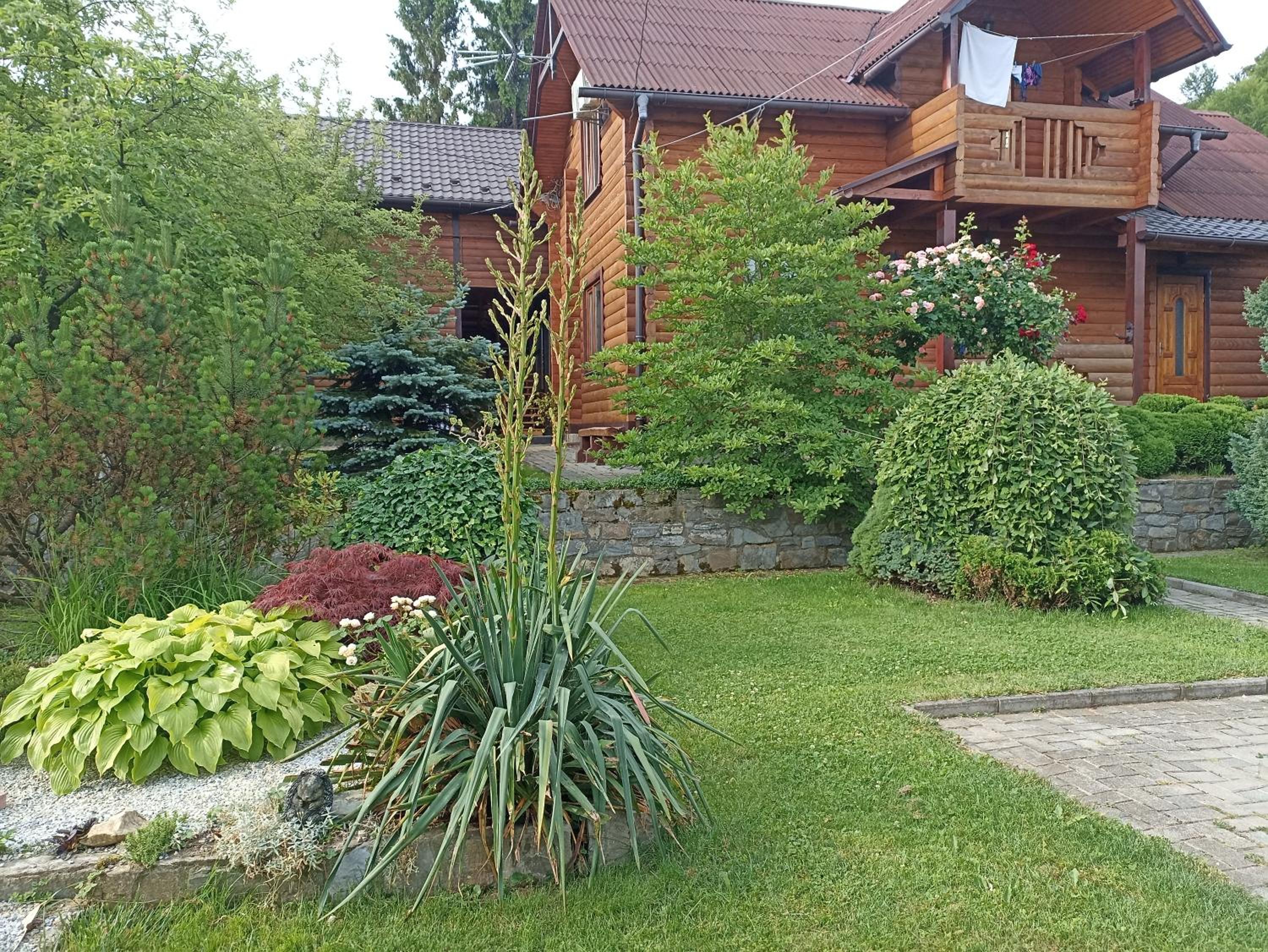 Photo 7