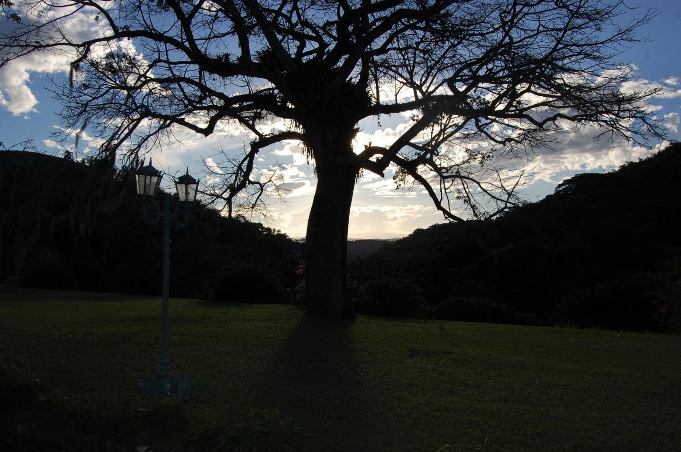 Fazenda Cachoeira Grande