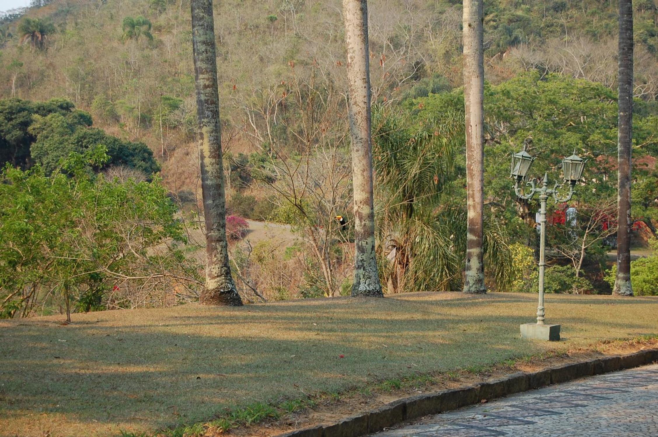 Fazenda Cachoeira Grande
