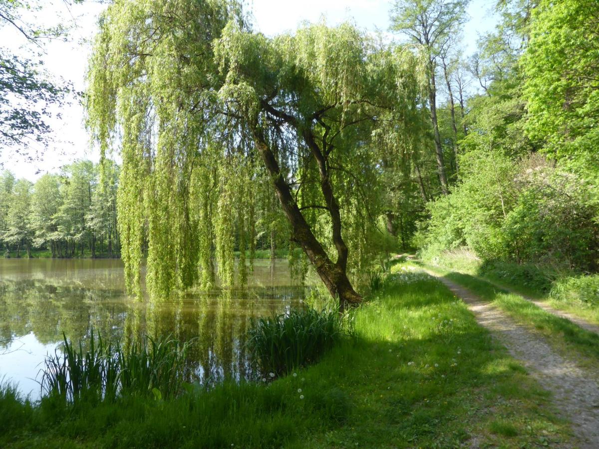 Photo 42
