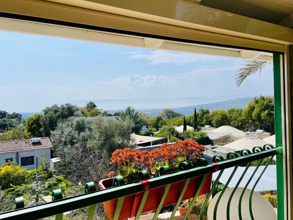 Out of Africa Resort
