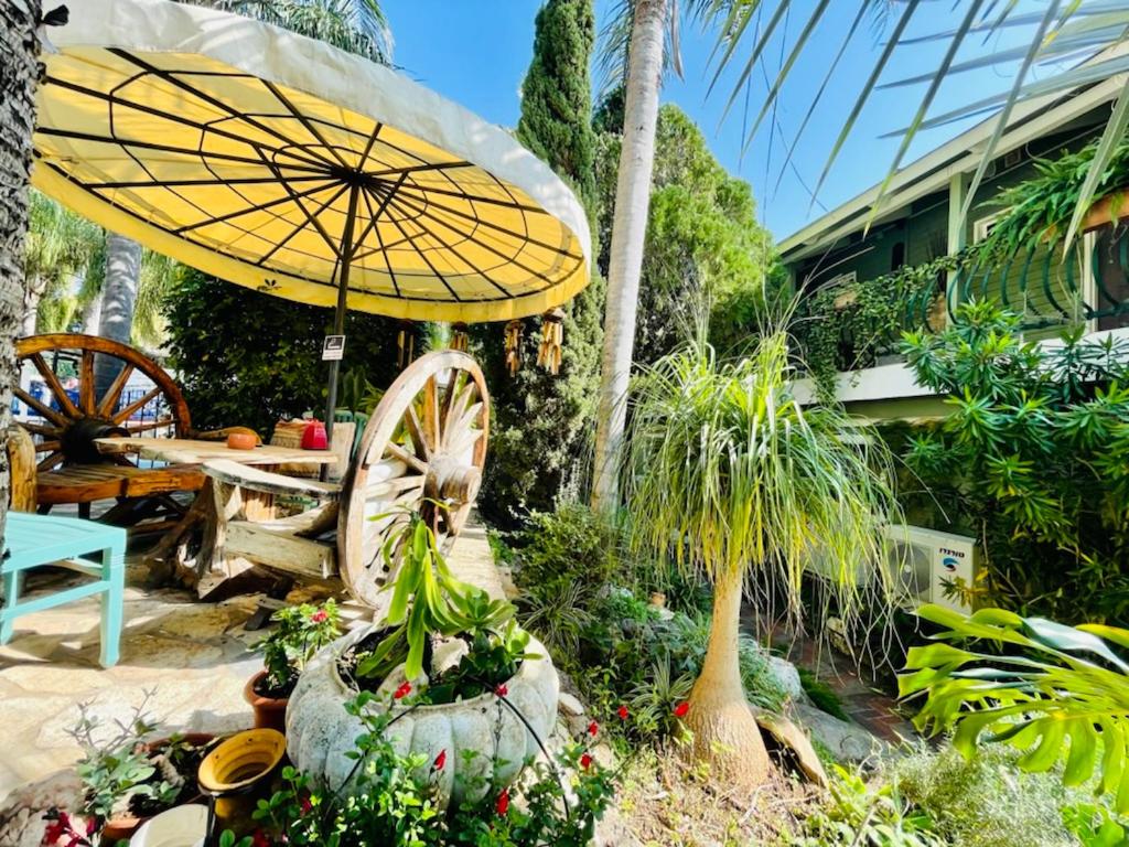 Out of Africa Resort