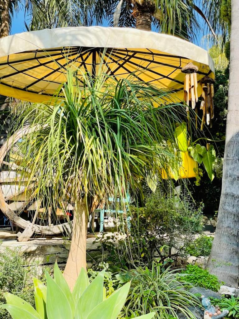 Out of Africa Resort