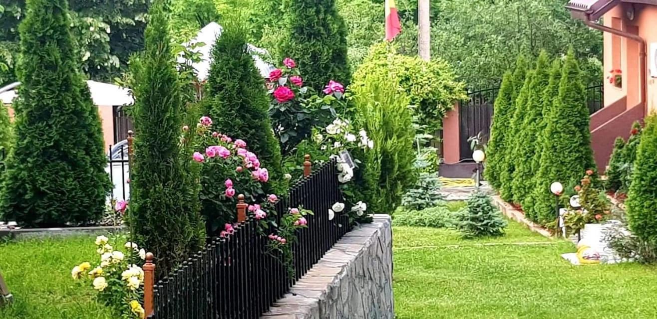 Photo 32