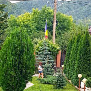 Photo 52