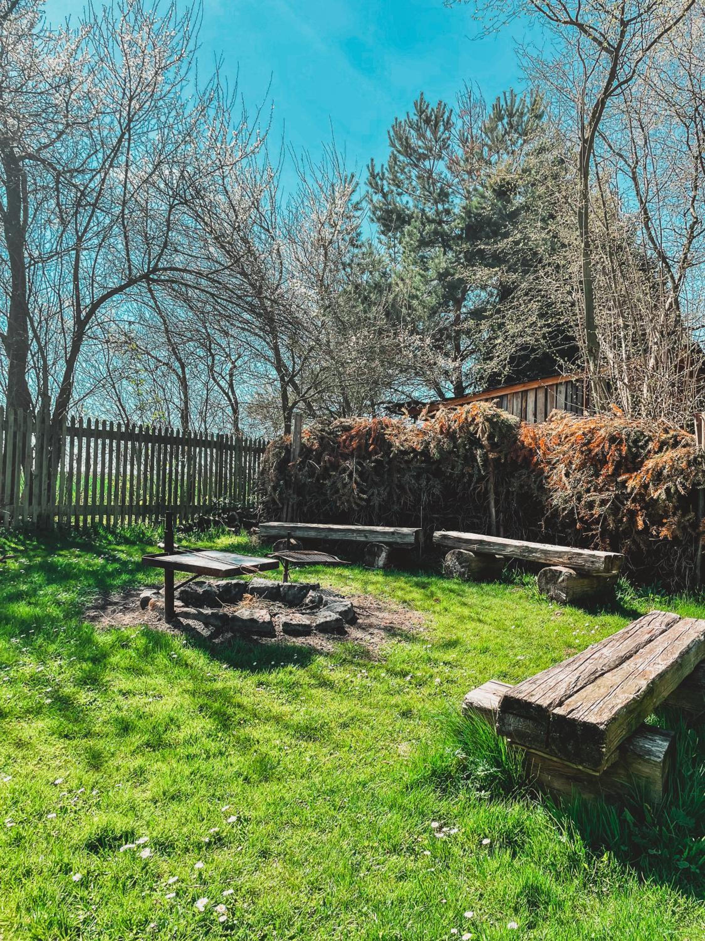 Photo 55