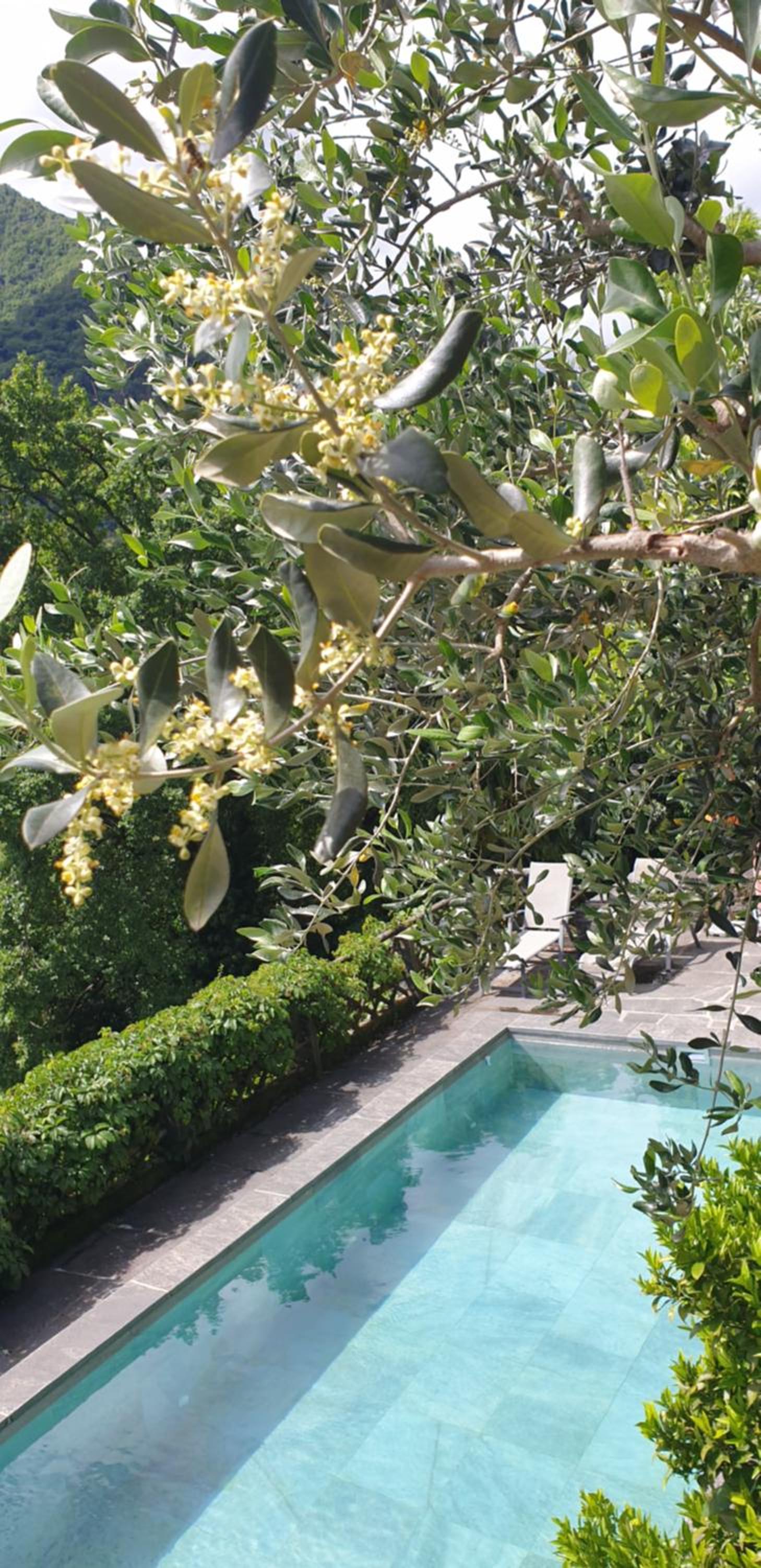 Casa Aries & Studio Aurora - mit Pool, in Cavigliano nur 8 km von Ascona und Locarno entfernt