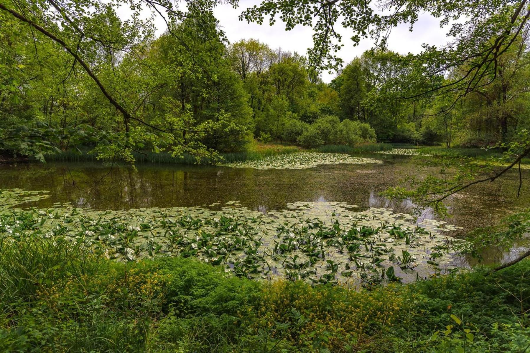 Photo 25