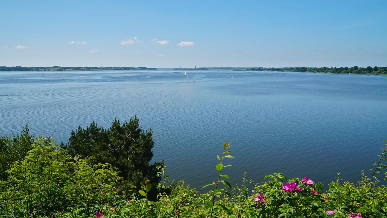 Schlei-Traum
