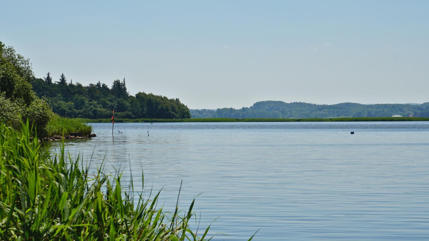 Schlei-Traum