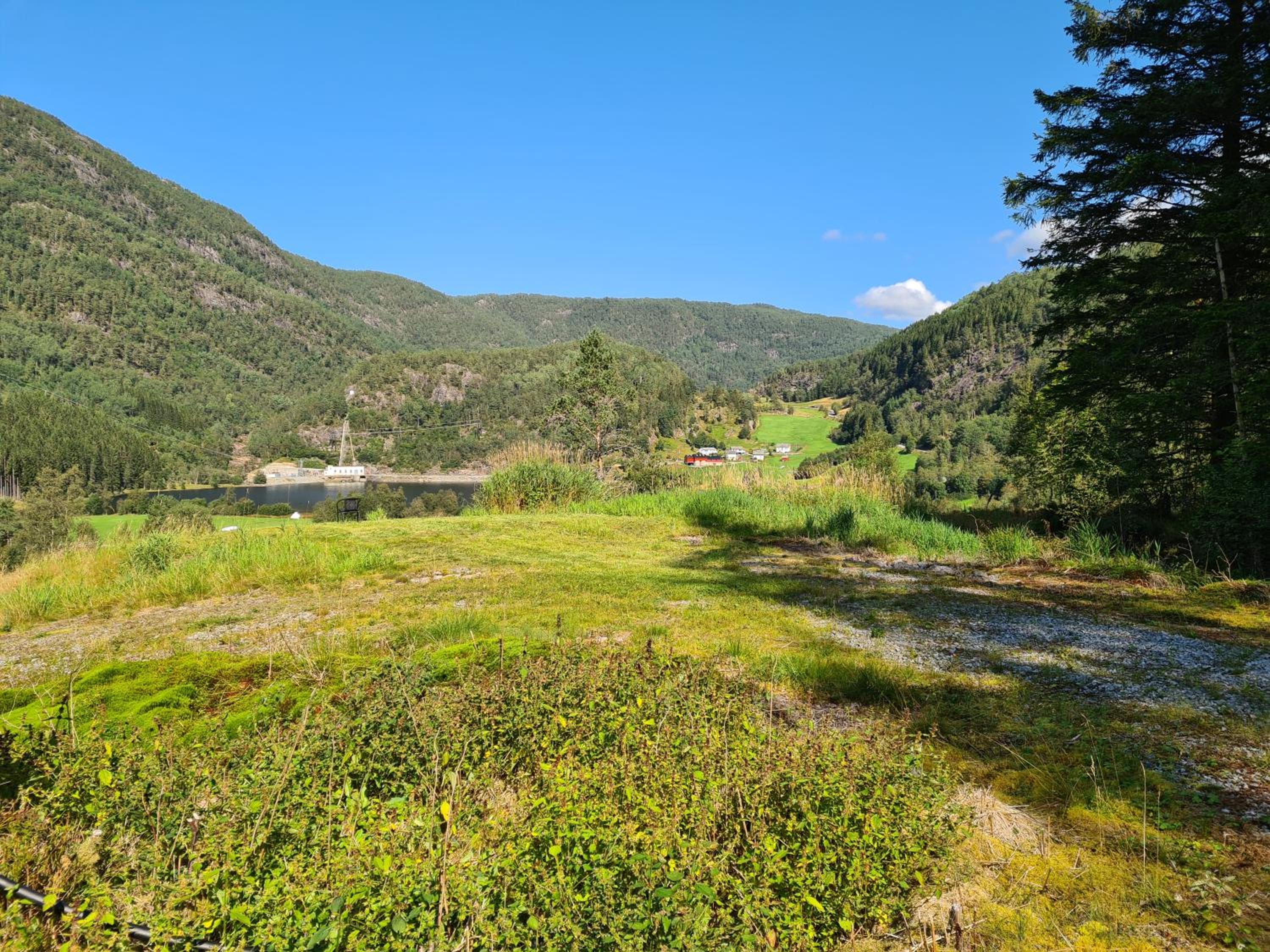 Photo 40
