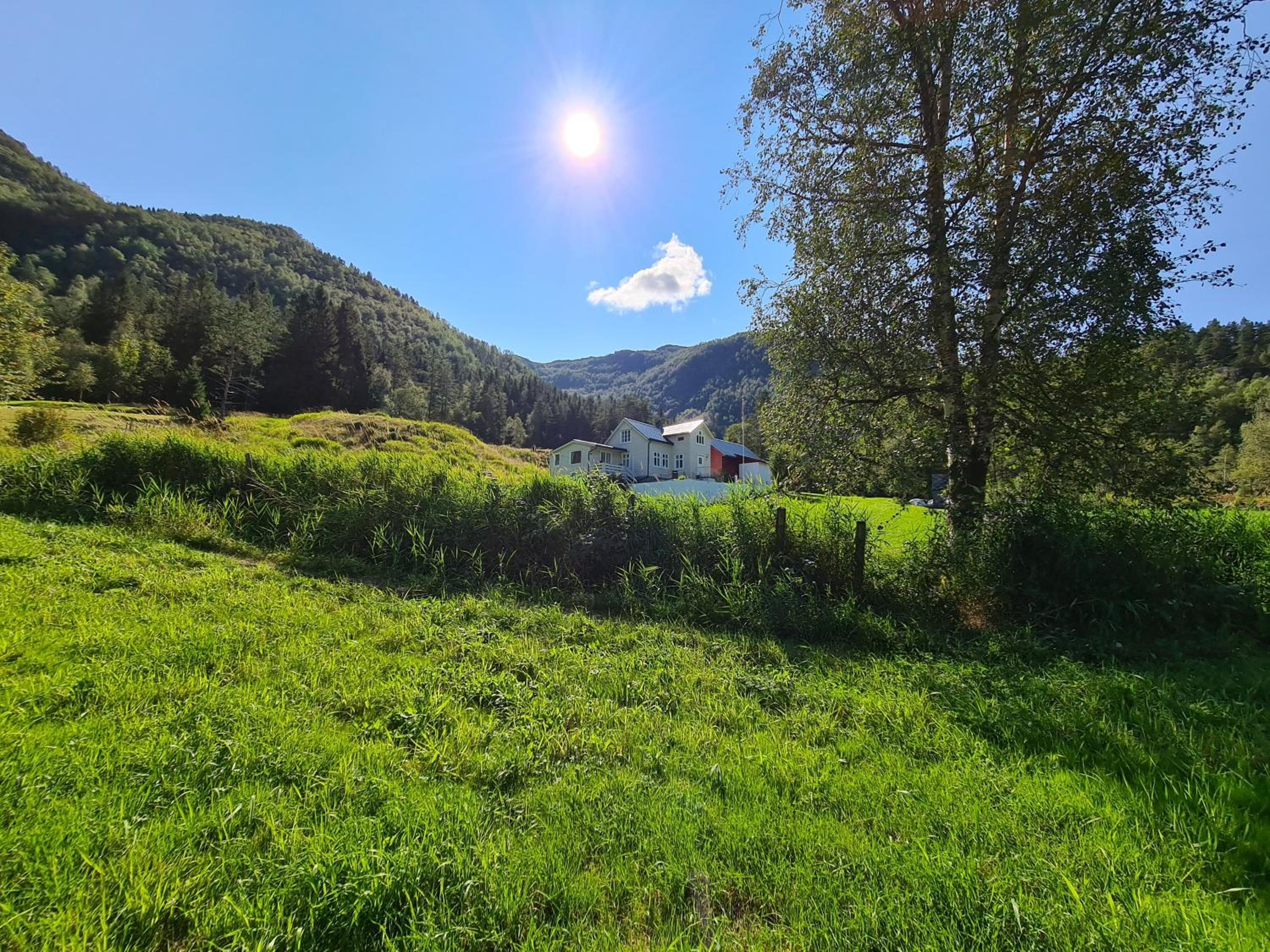 Photo 41