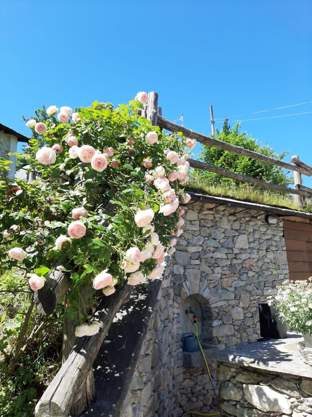Affittacamere La Lea view 3