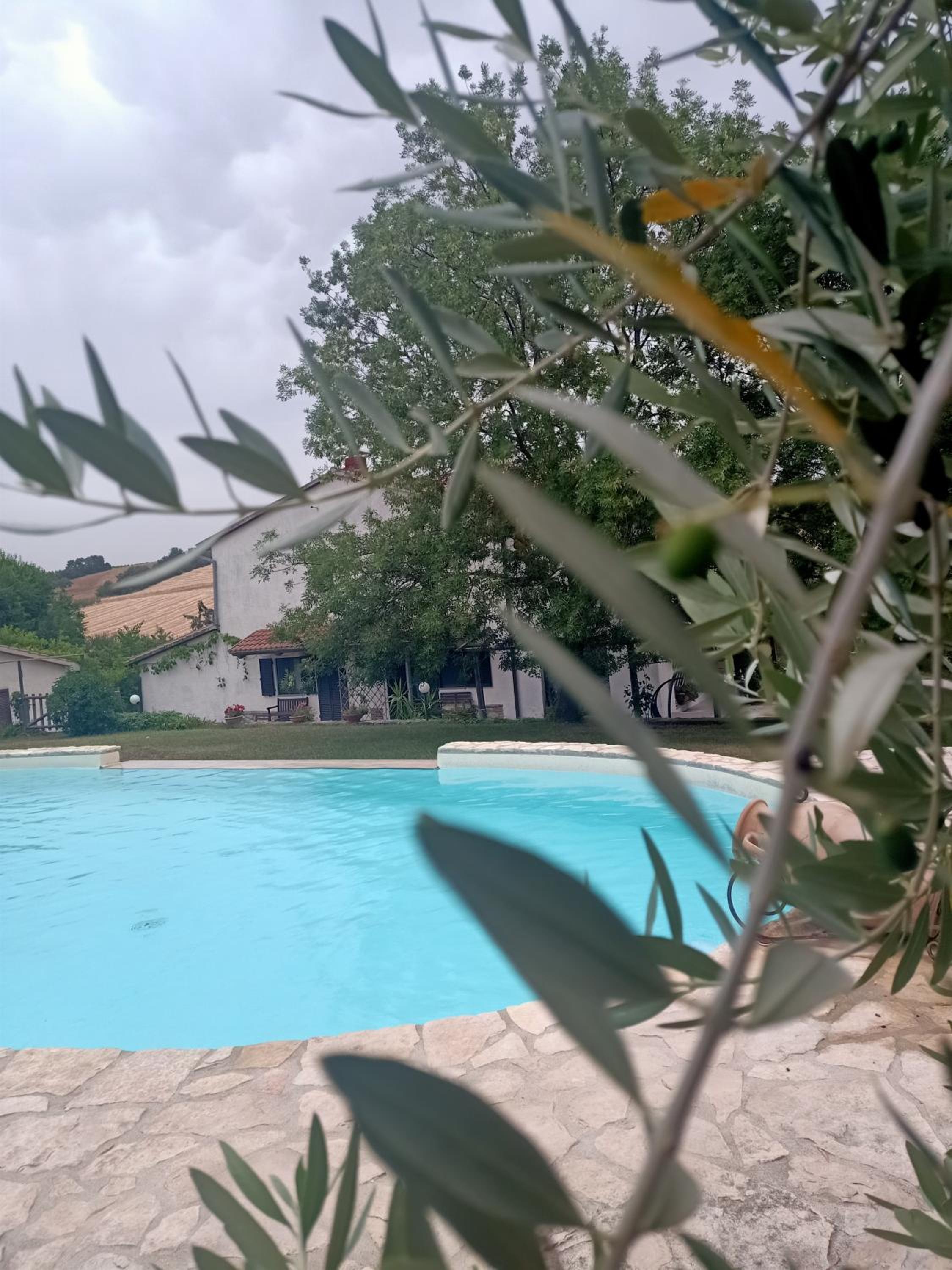 Agriturismo La Locandiera