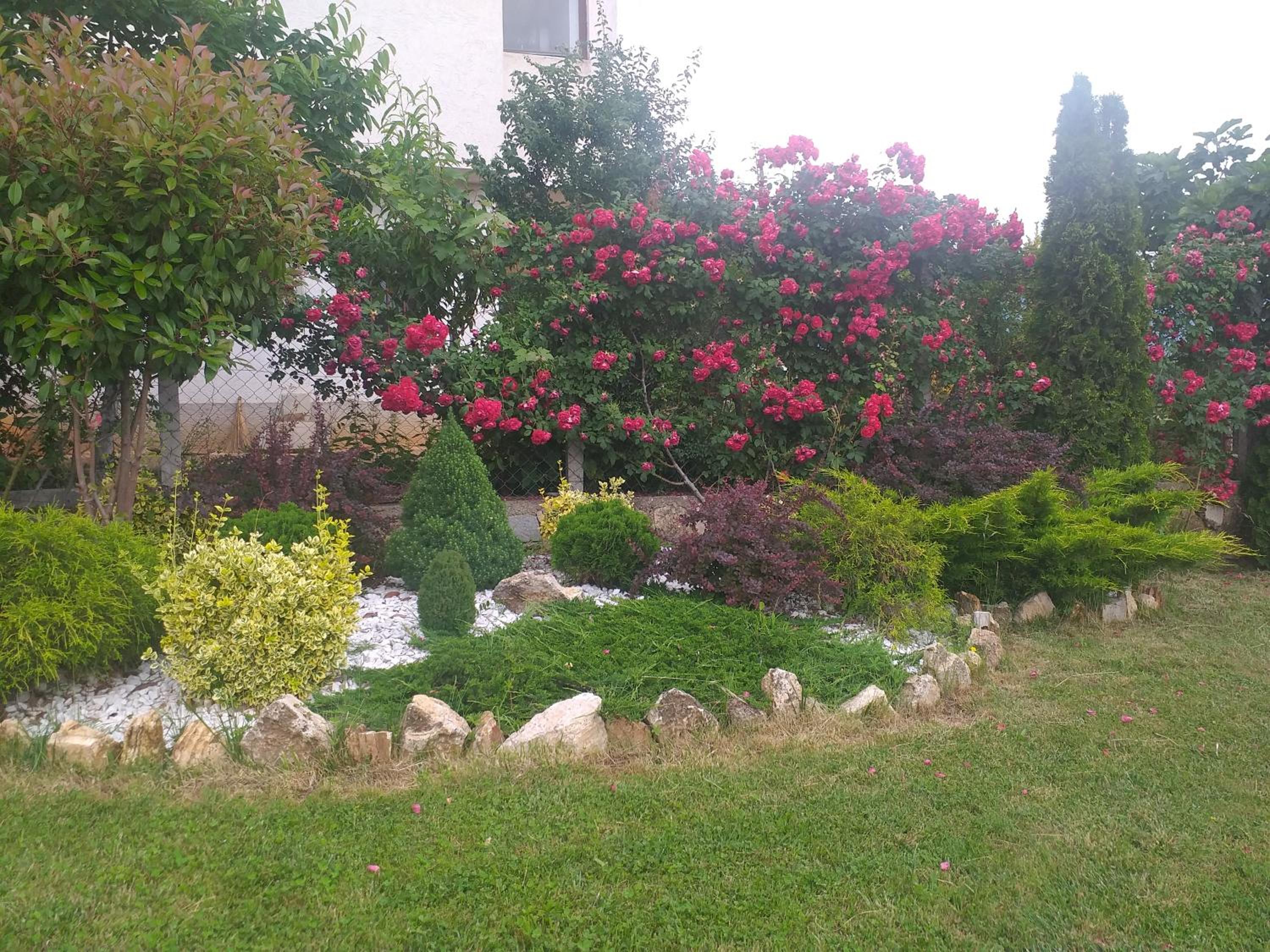 Photo 6