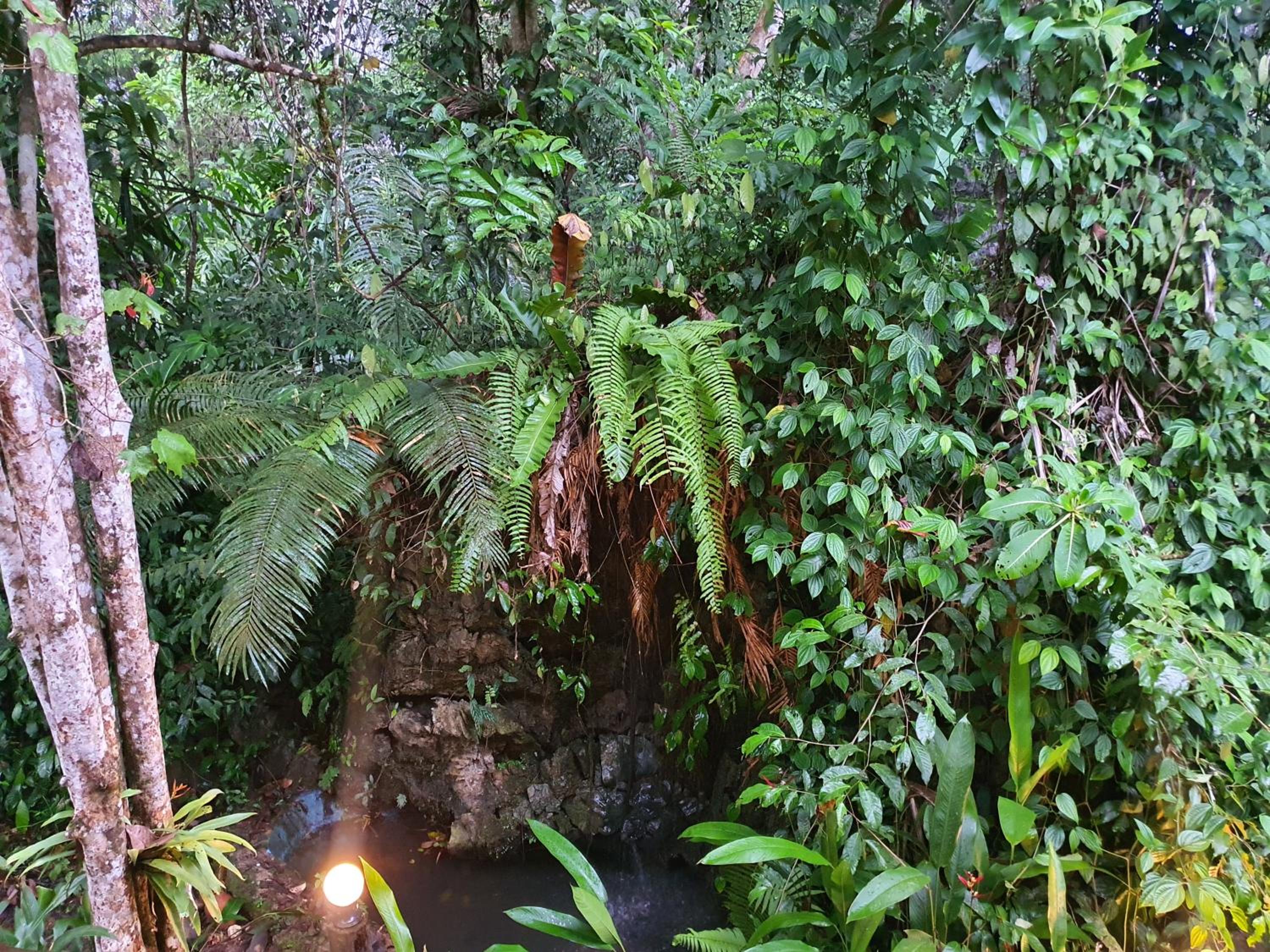 Khao Sok Silver Cliff Resort